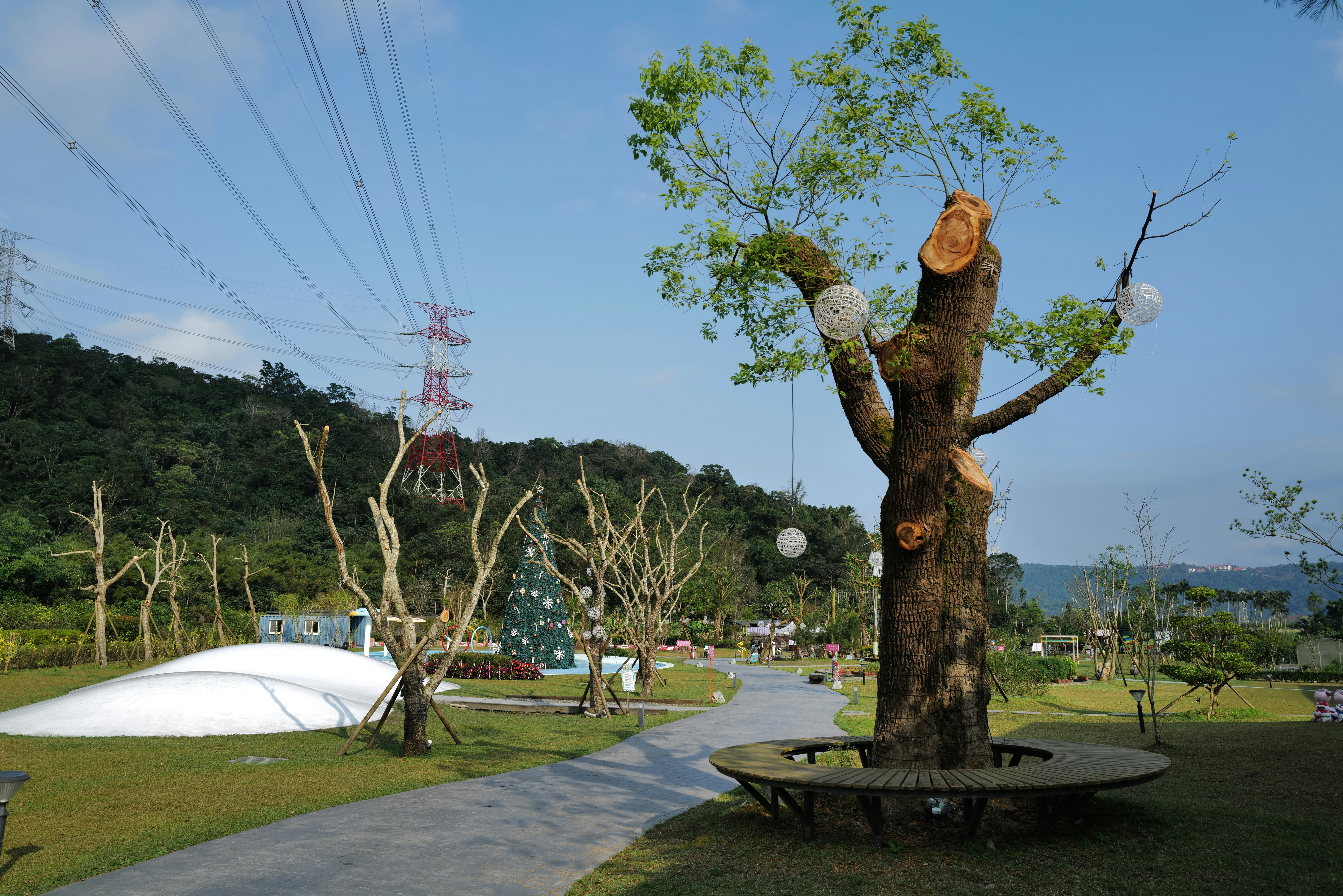 Un grande albero con una panchina circolare alla base.