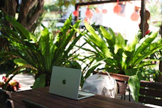 Laptop and backpack on a wooden table surrounded by plants.