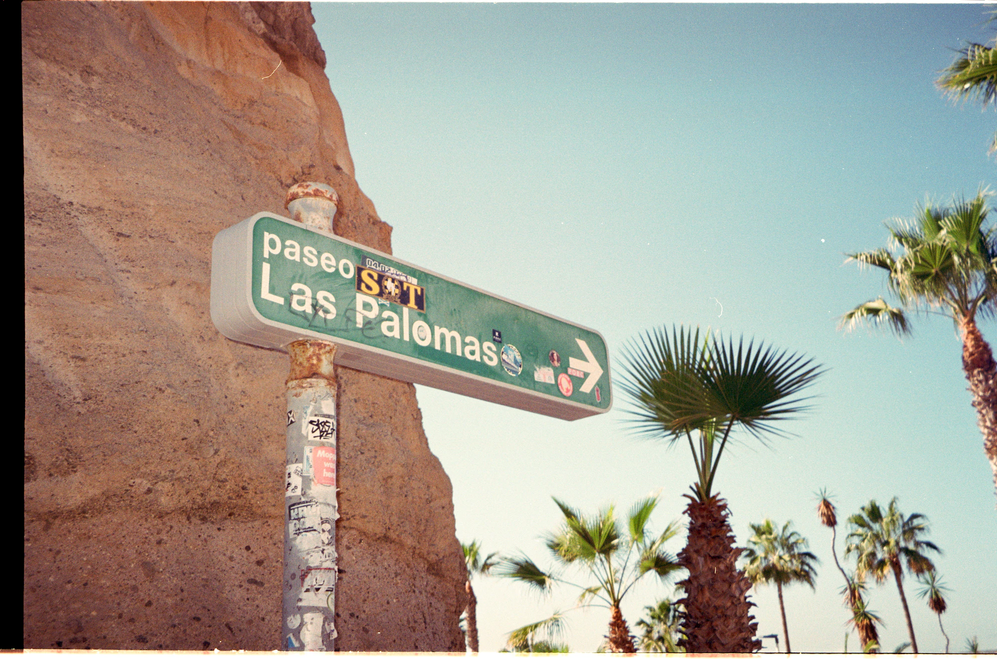 Green sign pointing to Las Palmas with palm trees