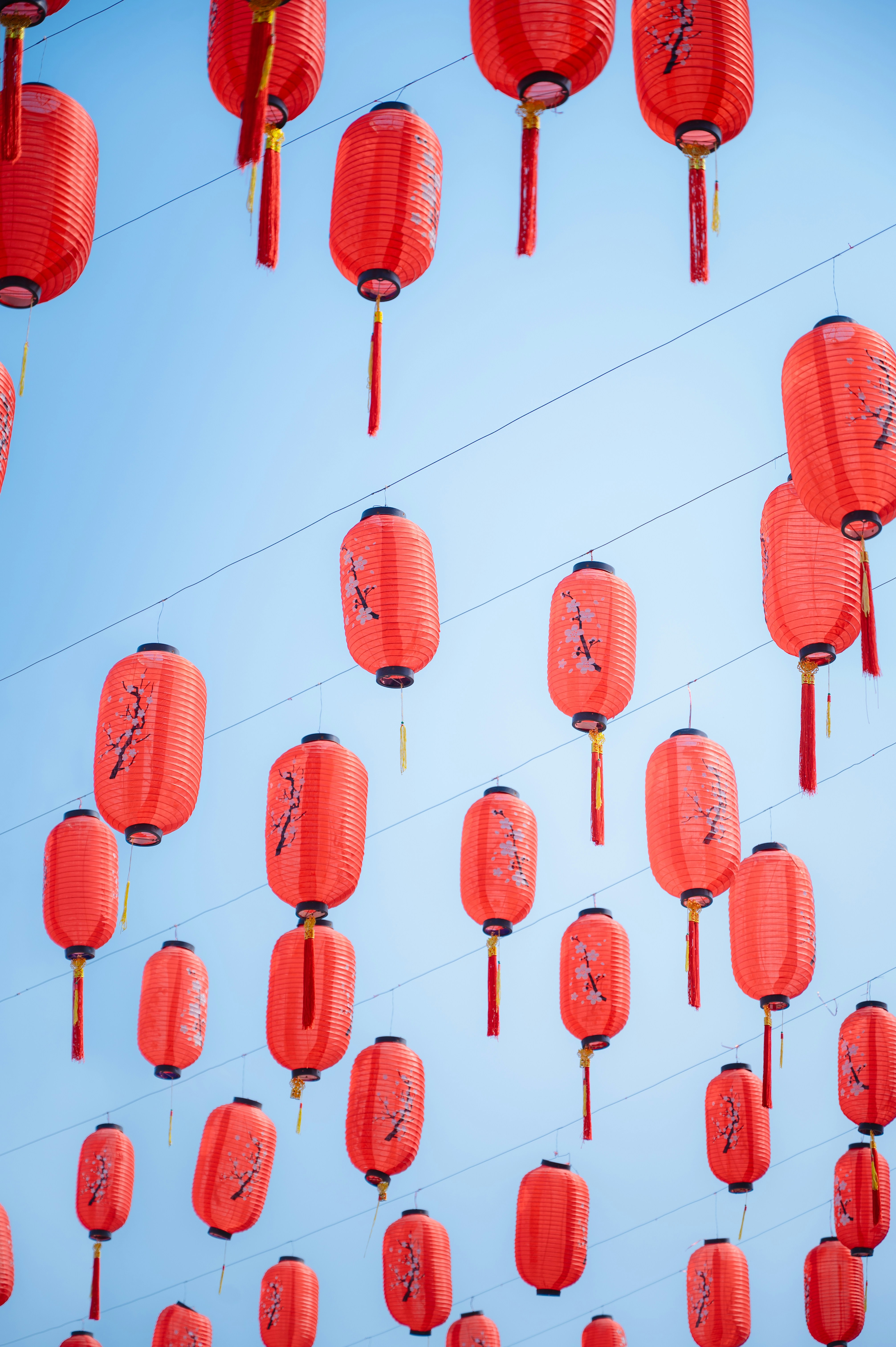 Photo by manhterry93