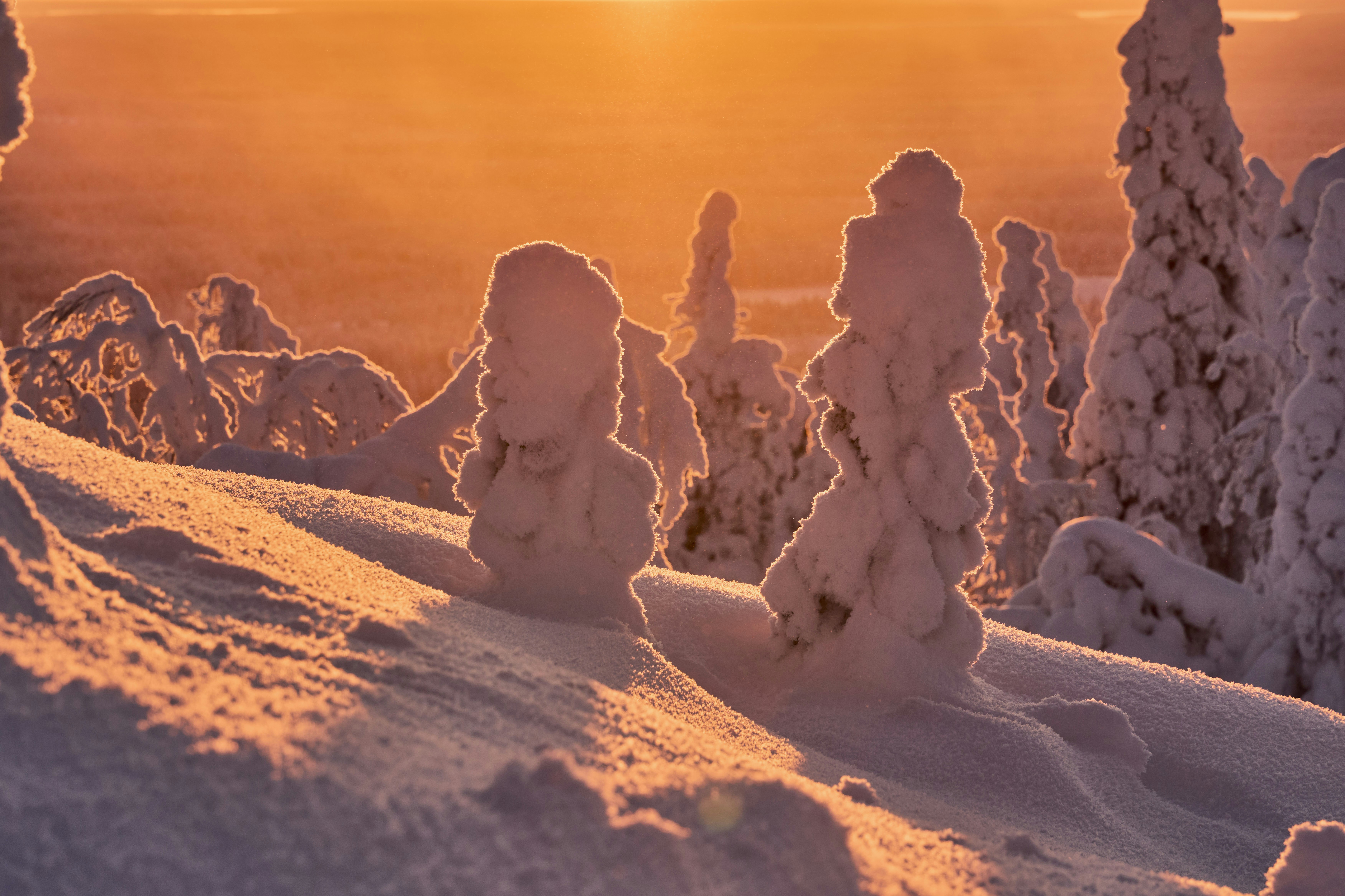 Photo by wolfgang_hasselmann