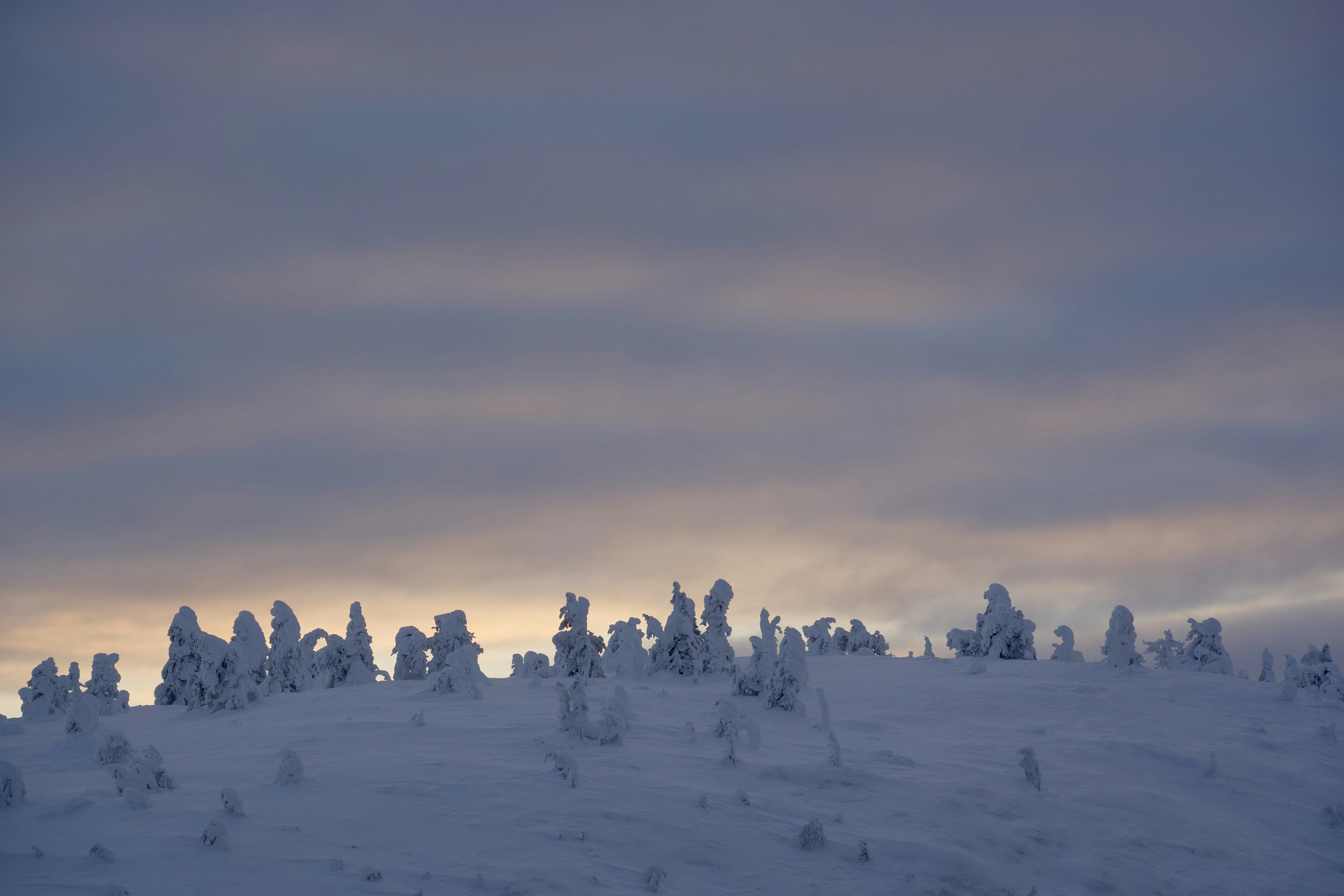 Photo by wolfgang_hasselmann