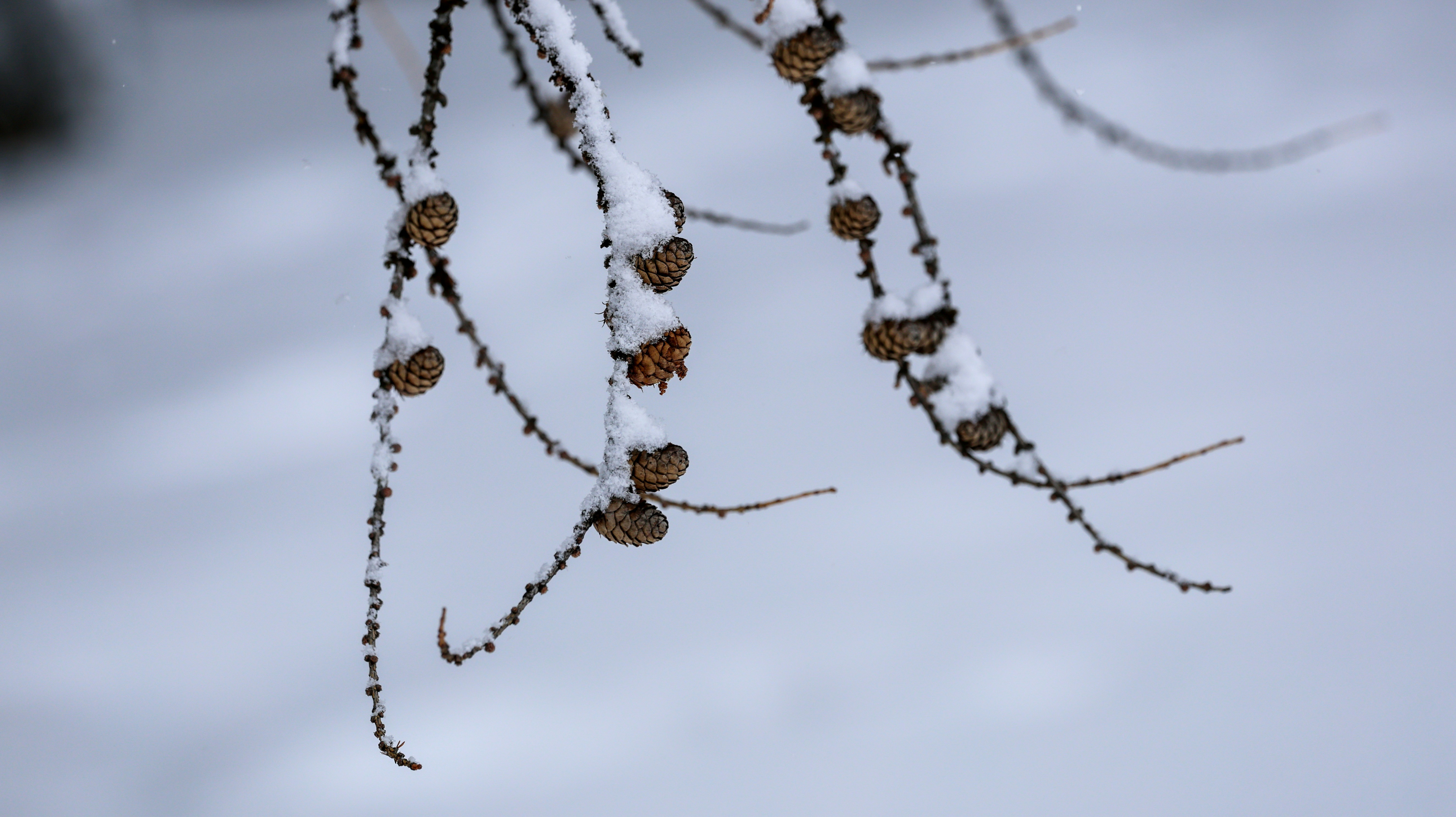 Photo by valomukitse