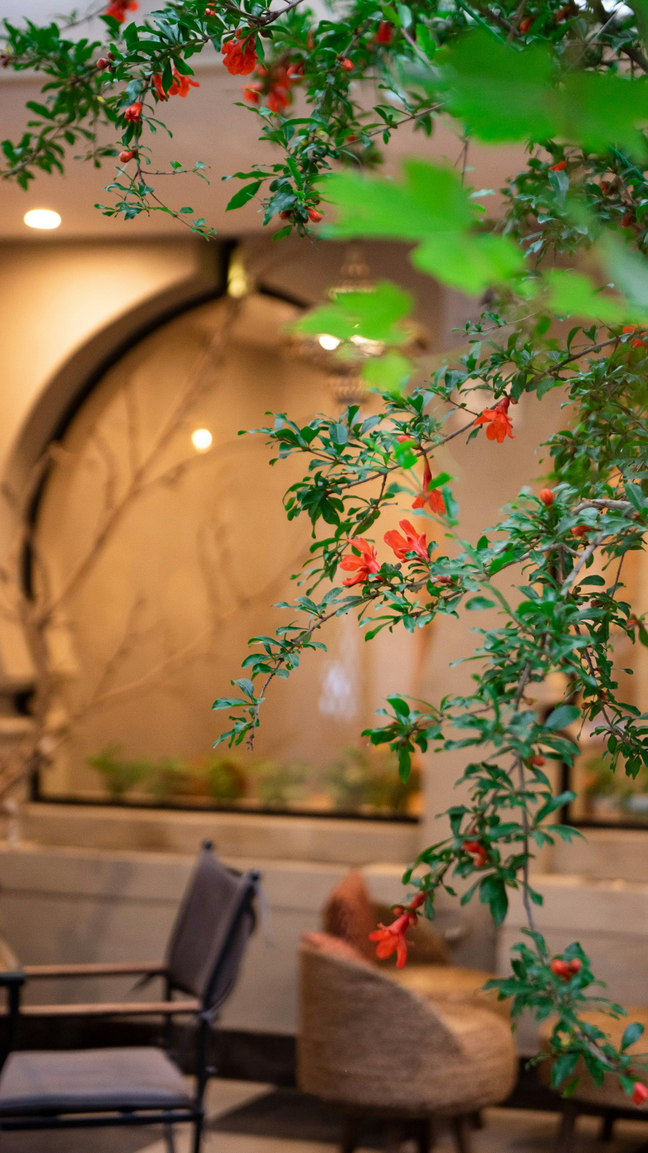 Green branches with small red flowers outside cafe.