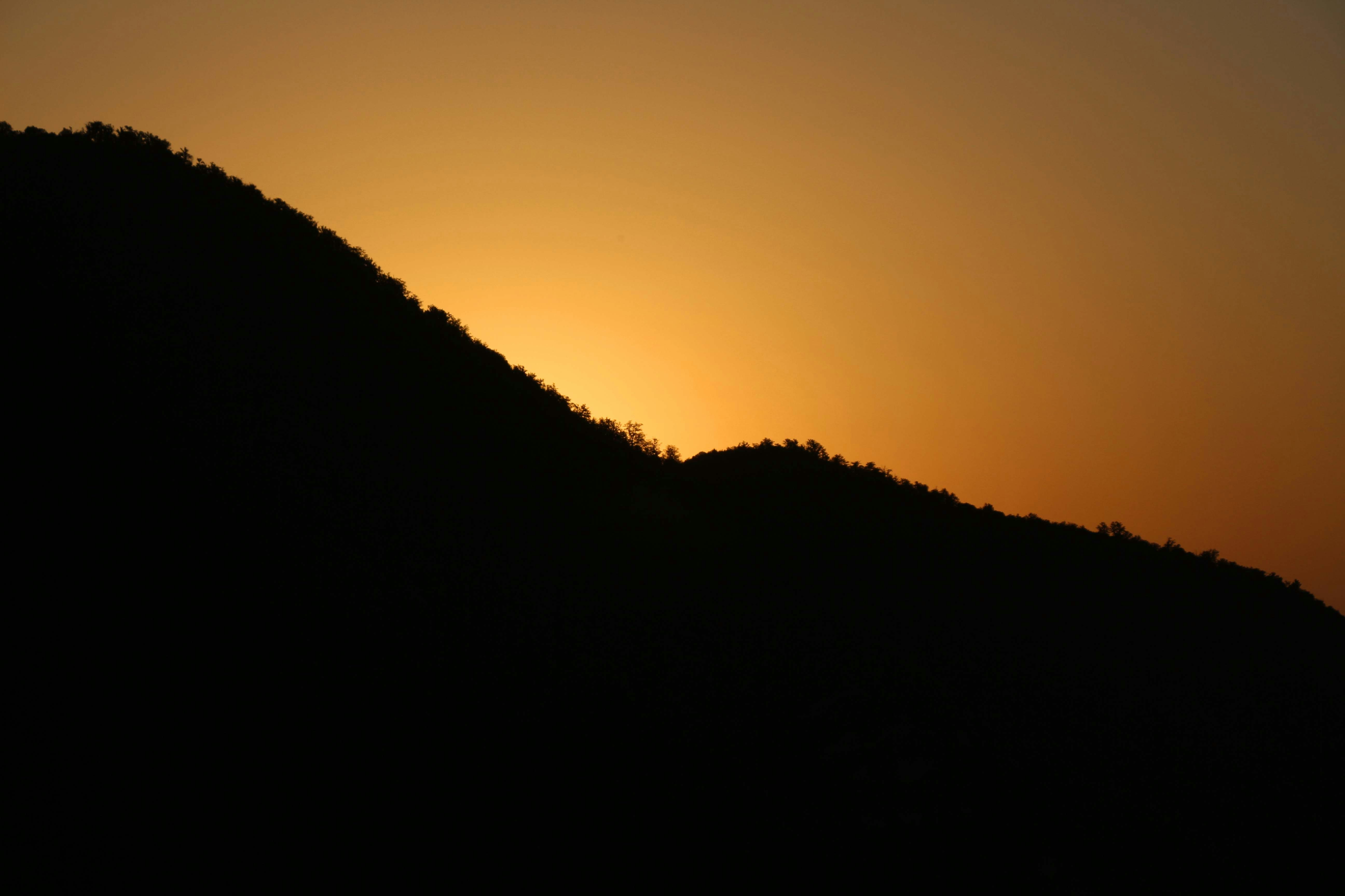 Photo by amirkasravi