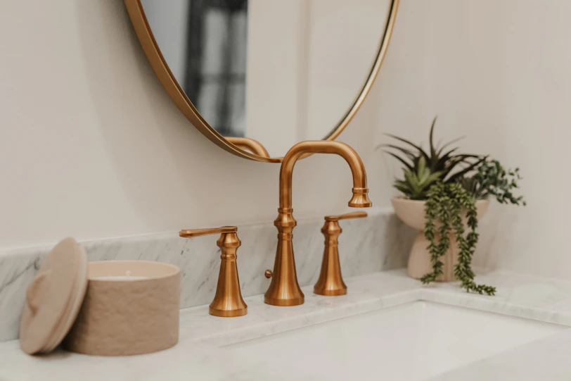 A modern brass faucet with a plant and plant