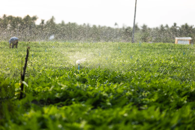 Farm irrigation with uPVC agriculture pipes