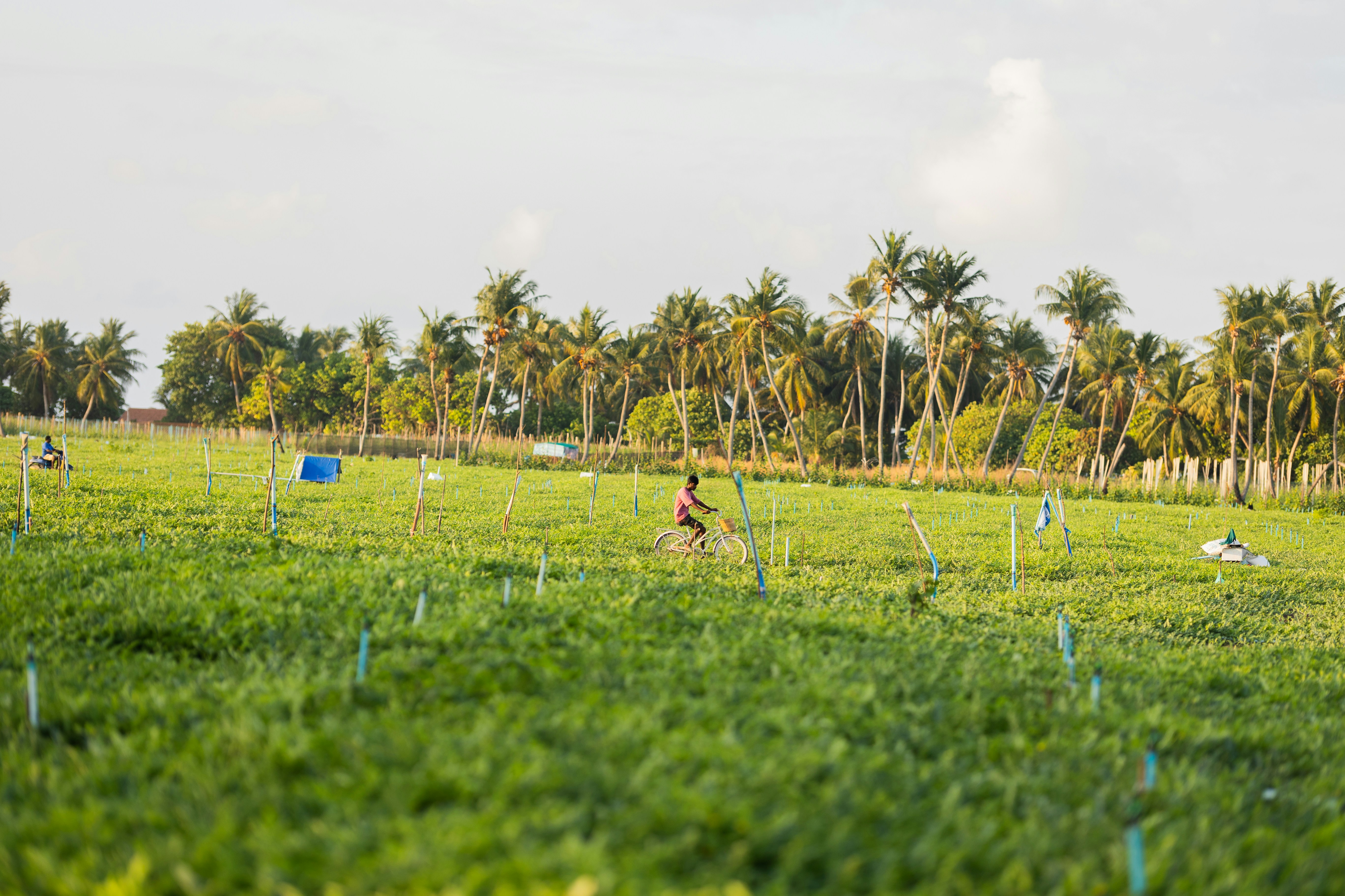 Photo by jumanjiphotos