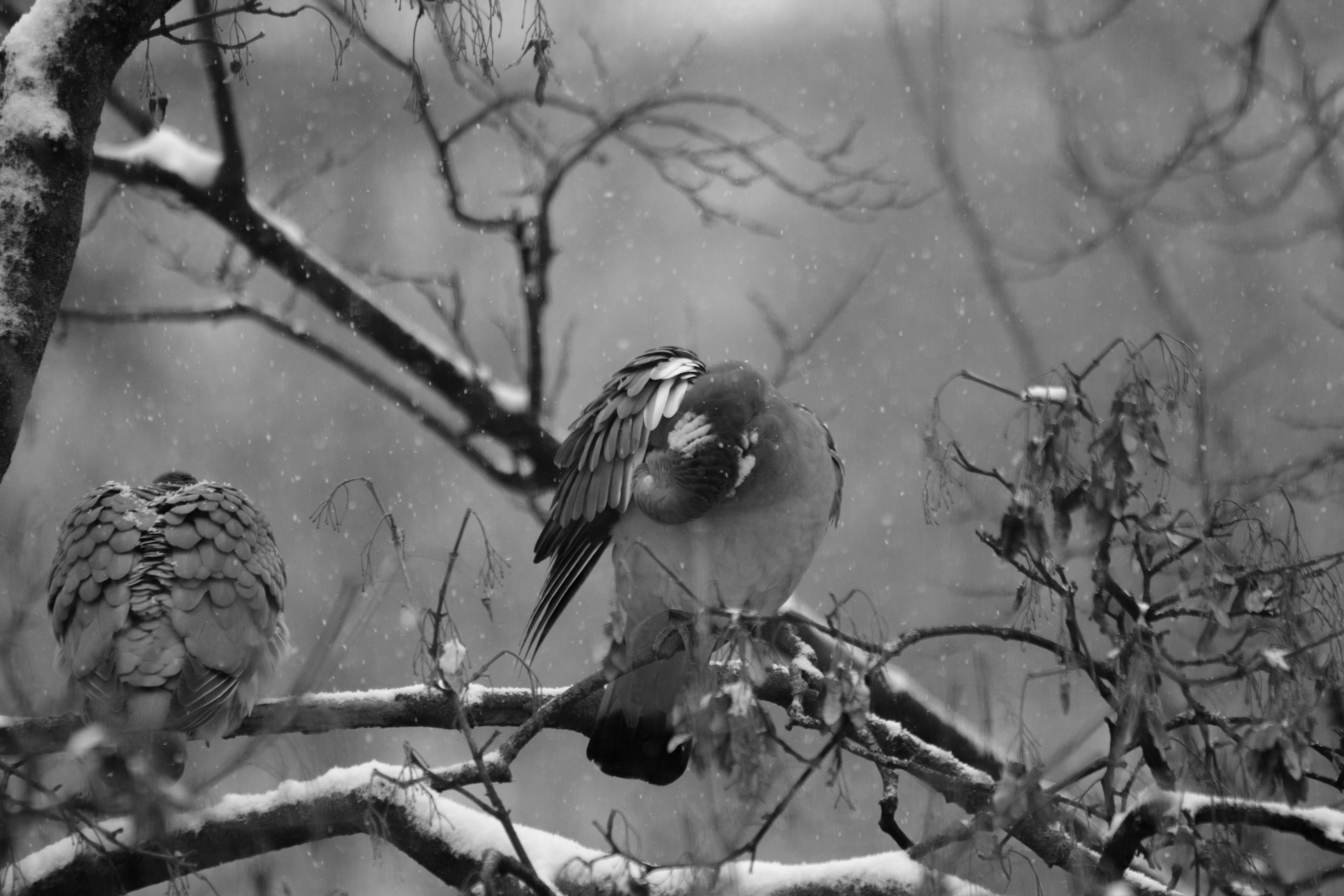 Photo by fotografialuivlad