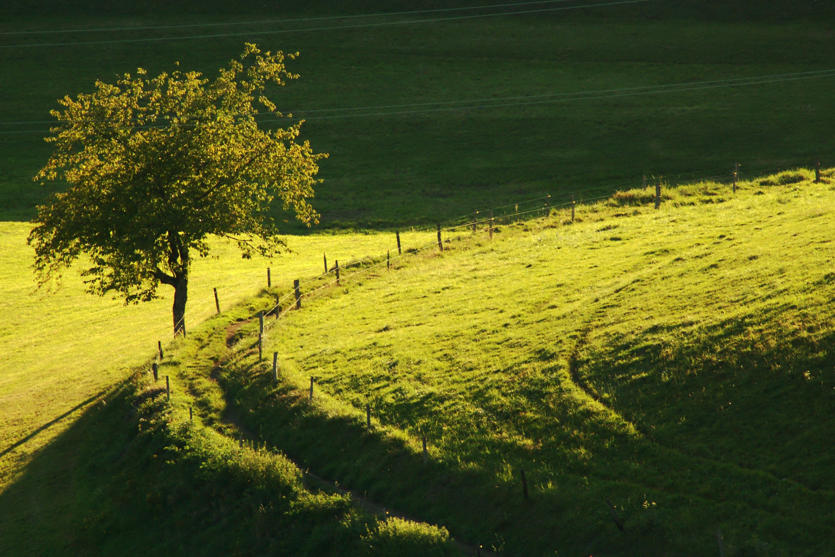 Photo by trousers2000