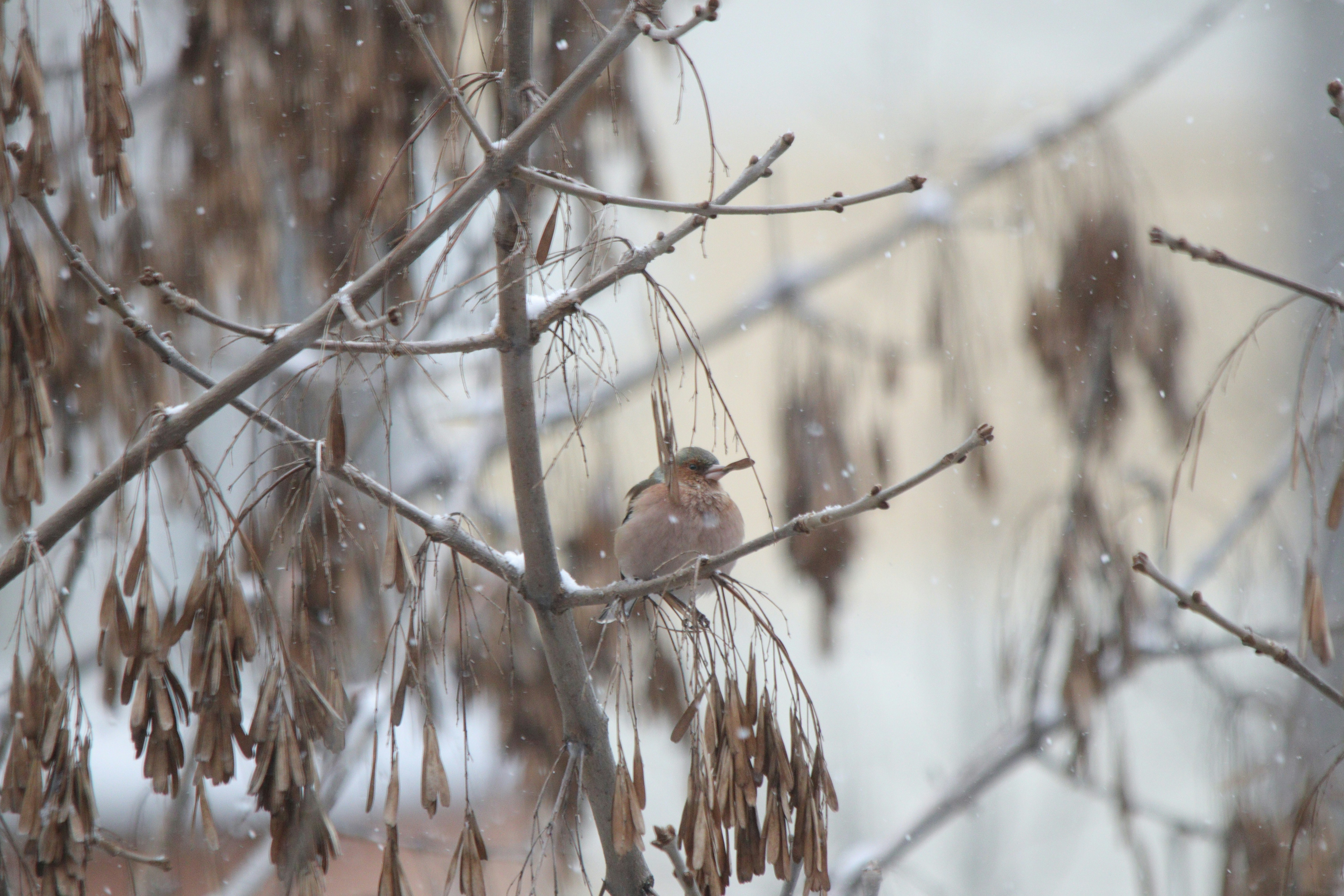 Photo by fotografialuivlad