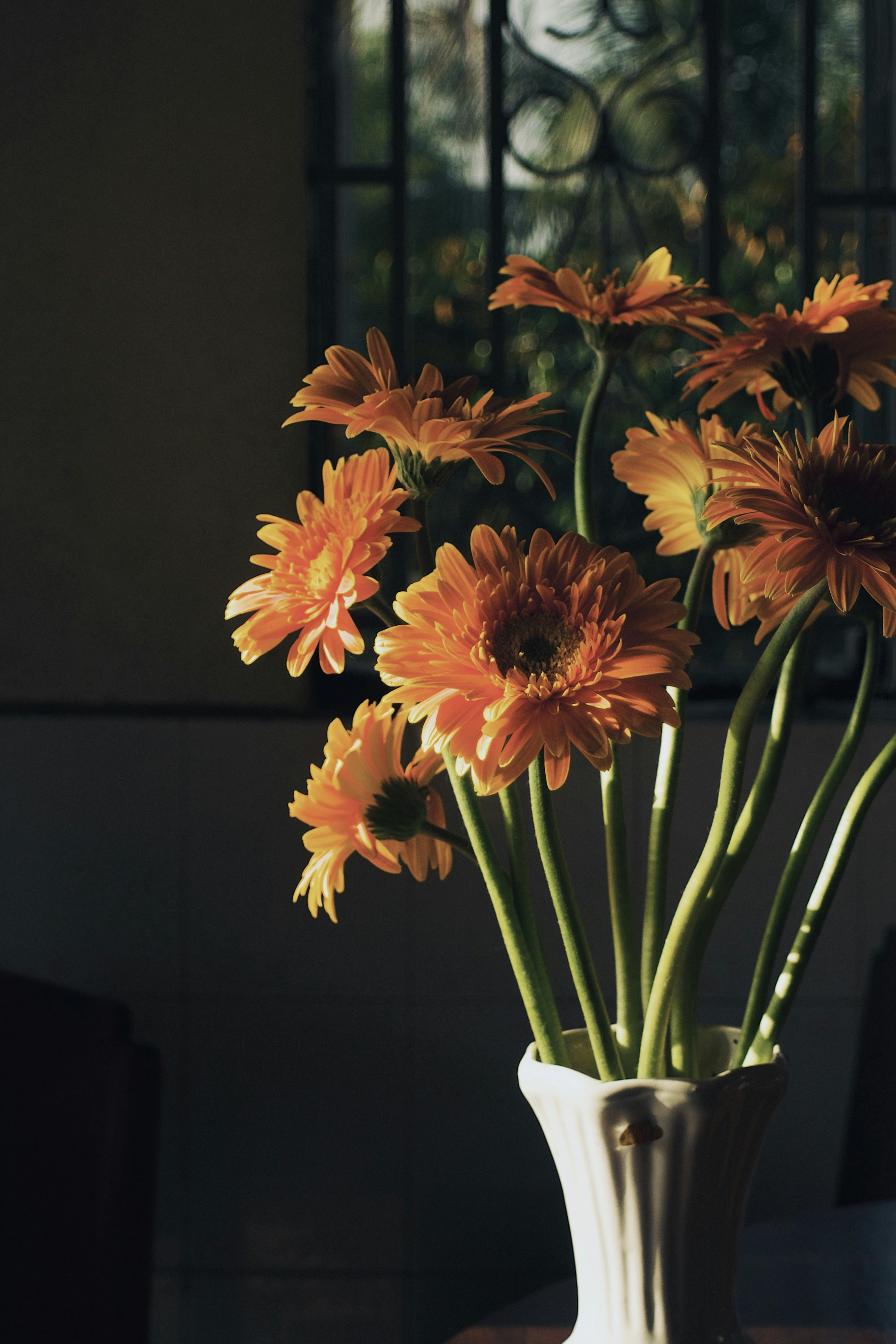 Orange gerbera daisies in a white vase indoors.