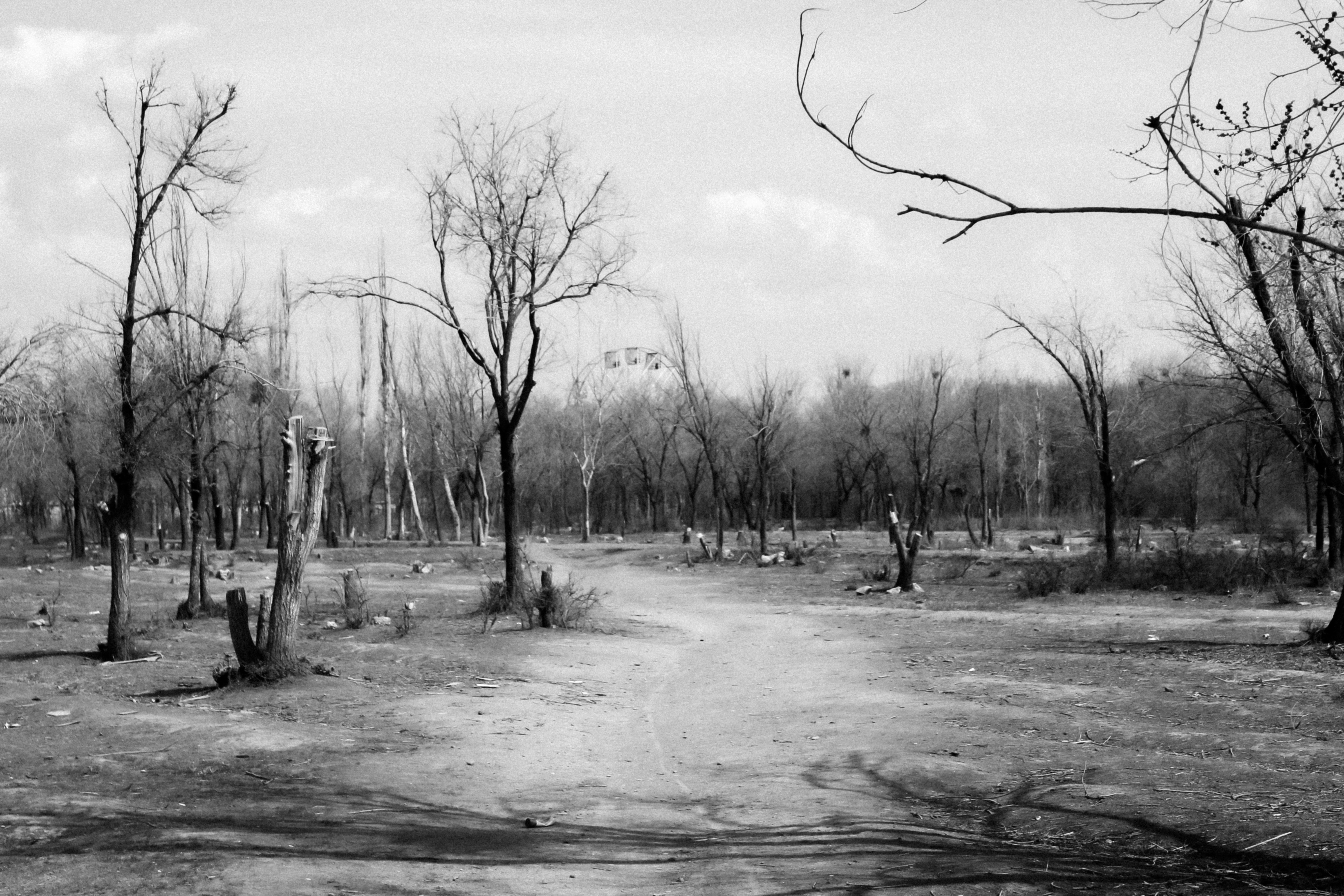 Photo by misakaghababyan