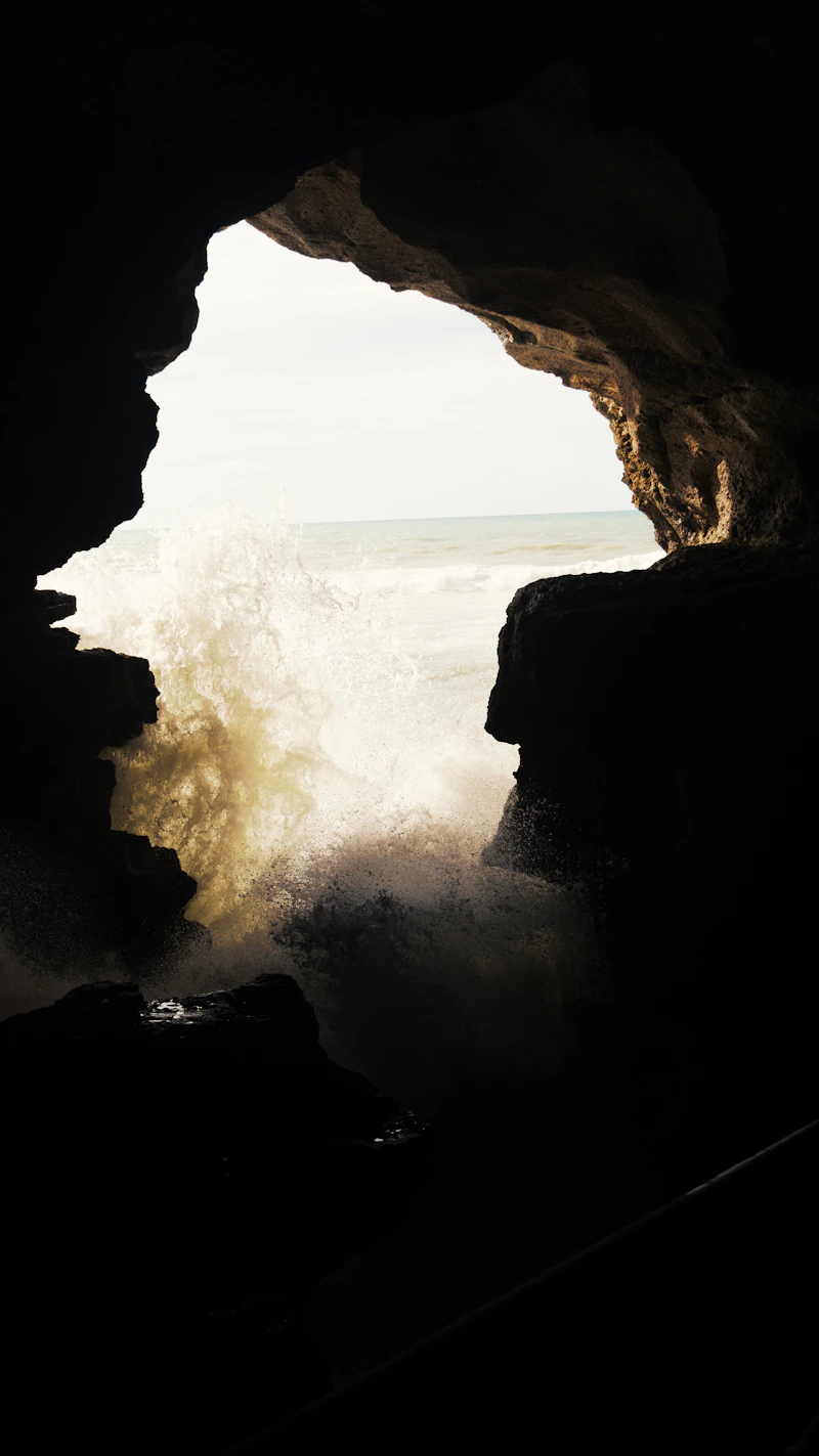 Full-Day Excursion