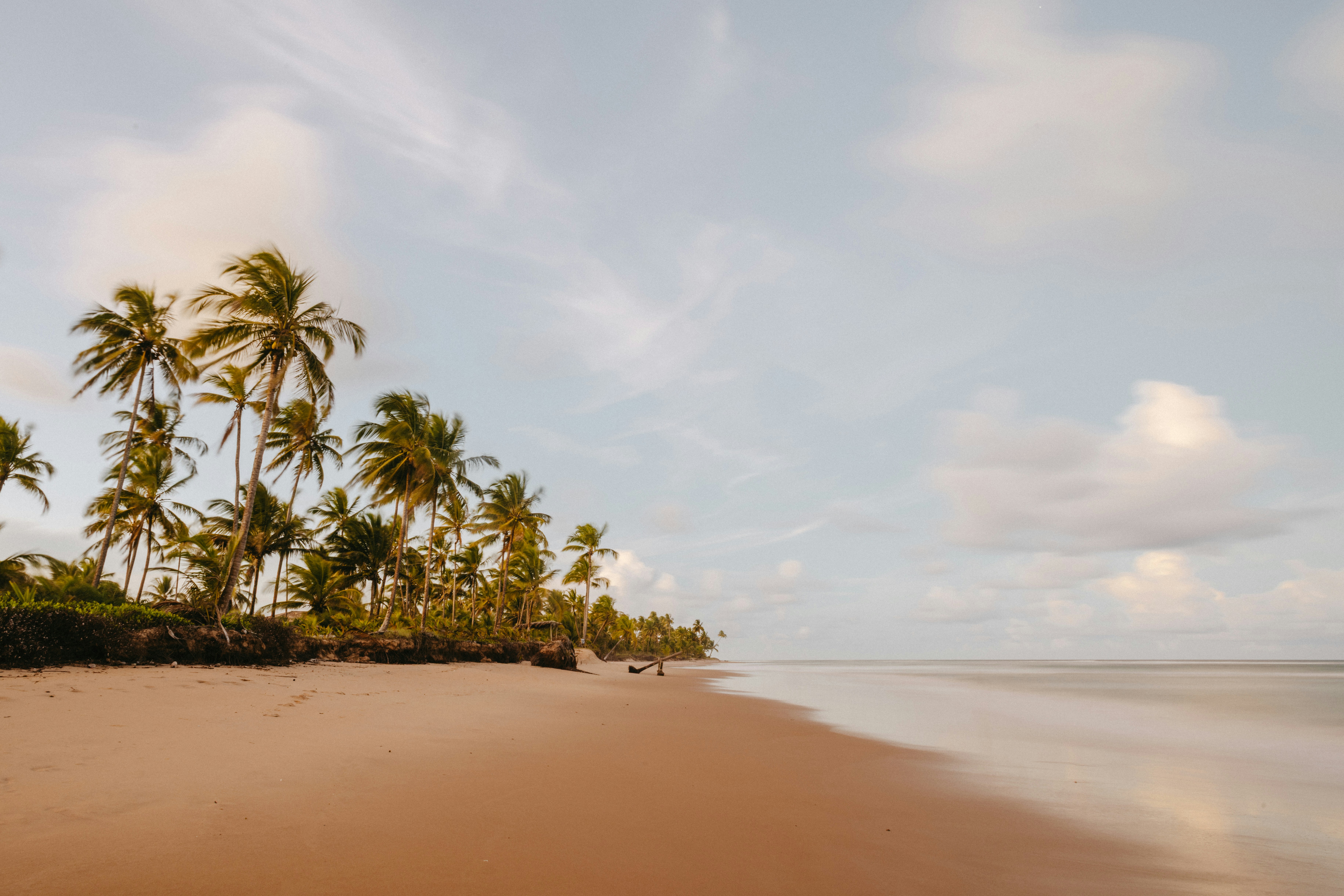 Photo by jonathanborba