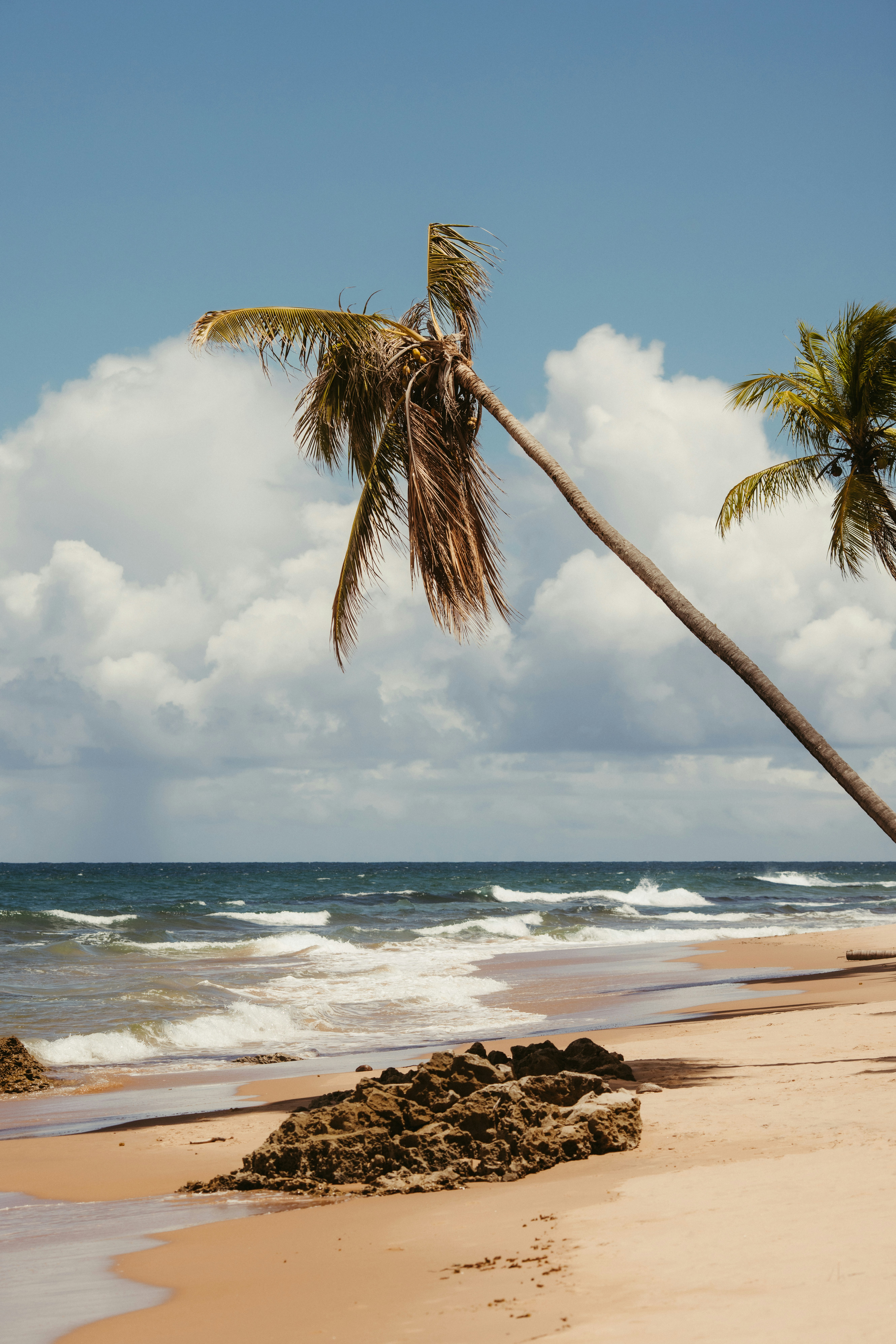 Photo by jonathanborba