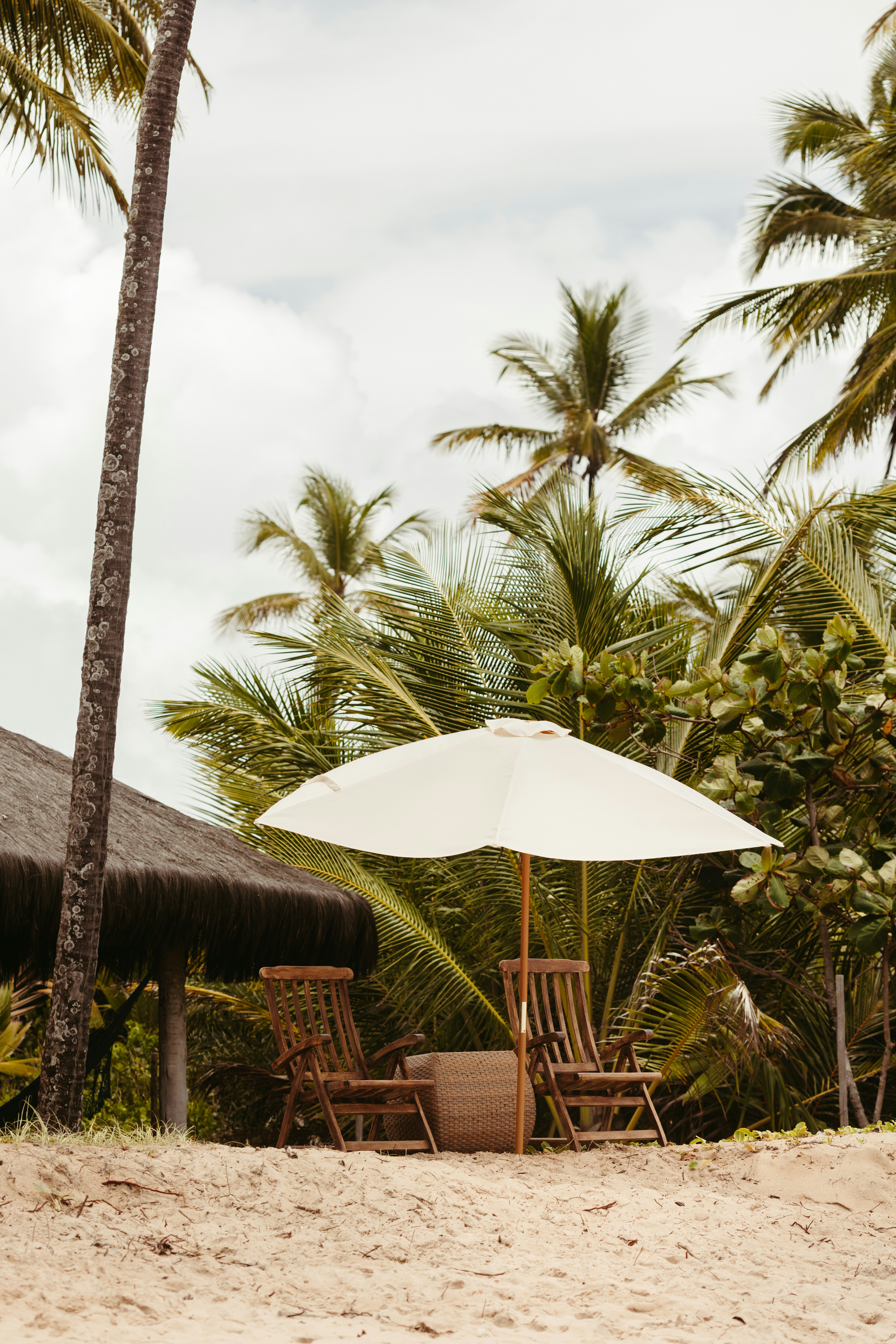 Photo by jonathanborba