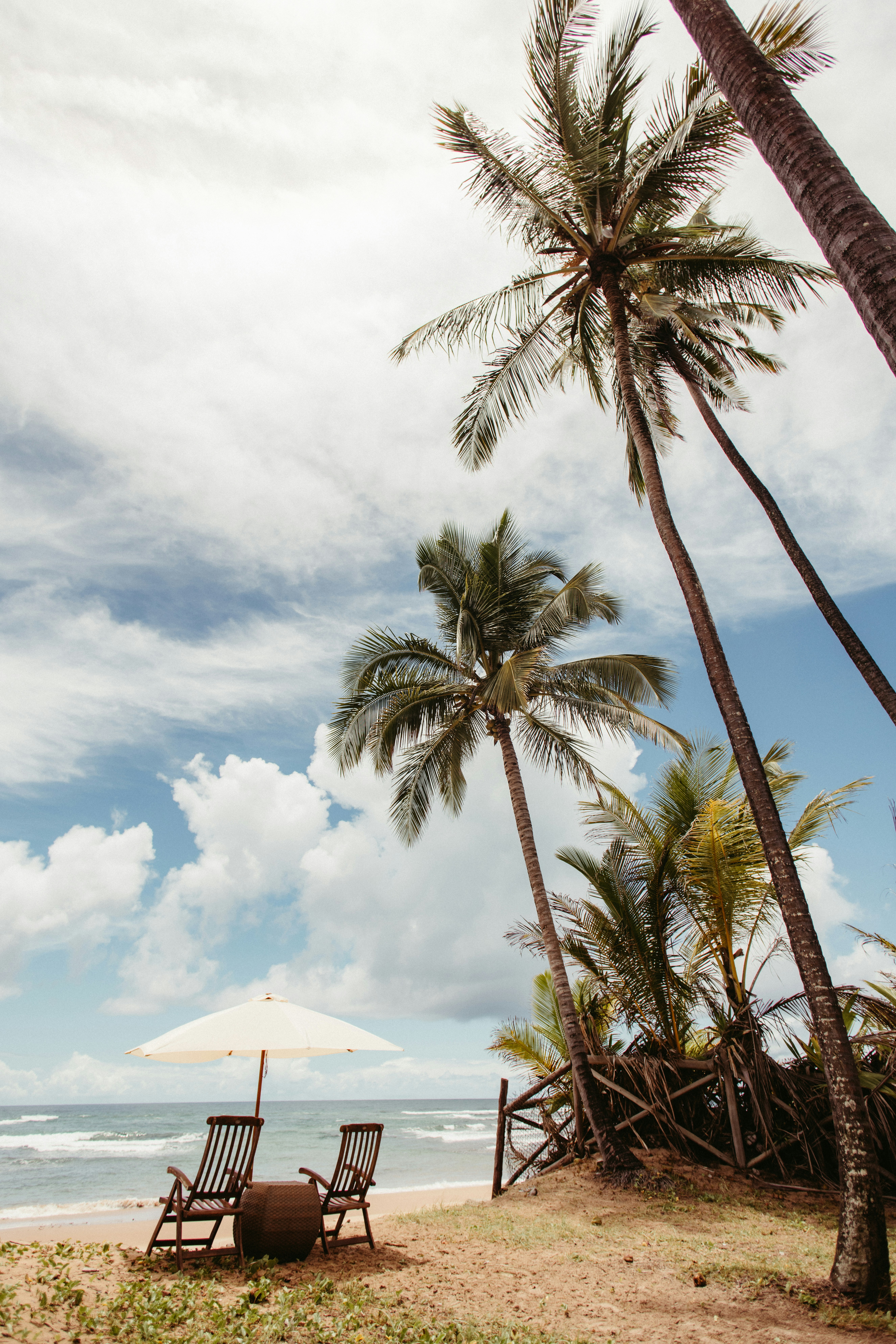 Photo by jonathanborba