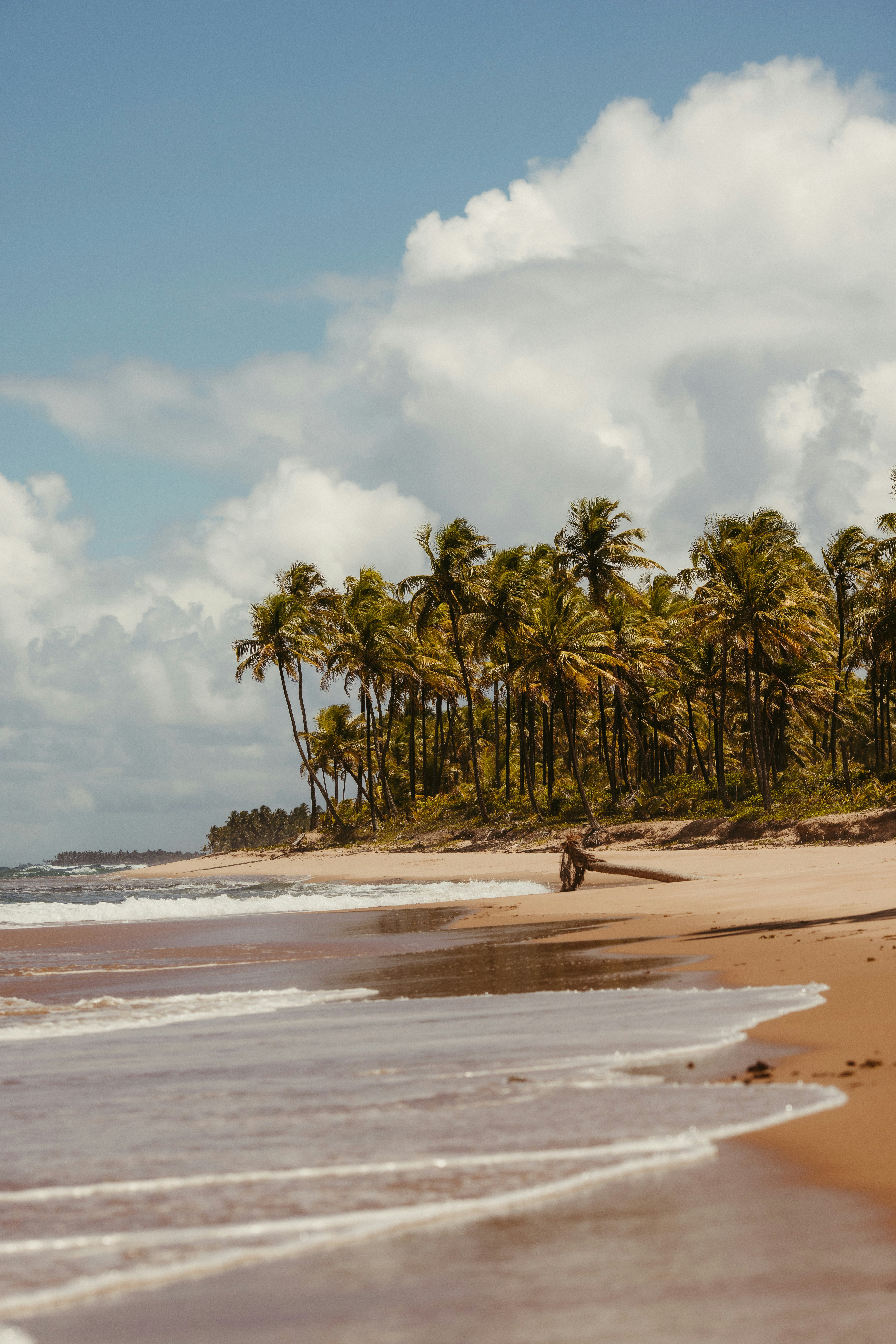 Photo by jonathanborba