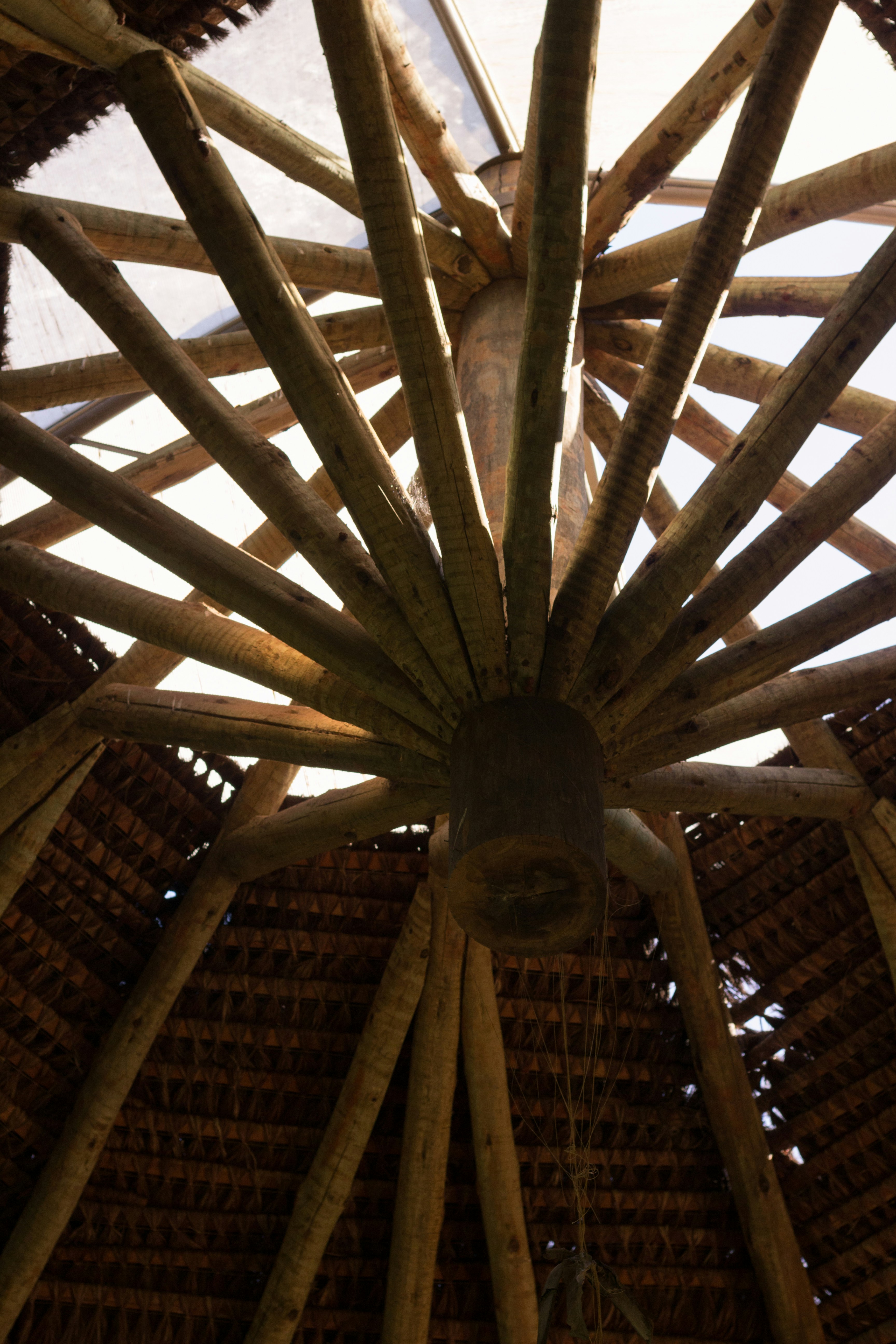 Poutres en bois formant une structure de toit circulaire