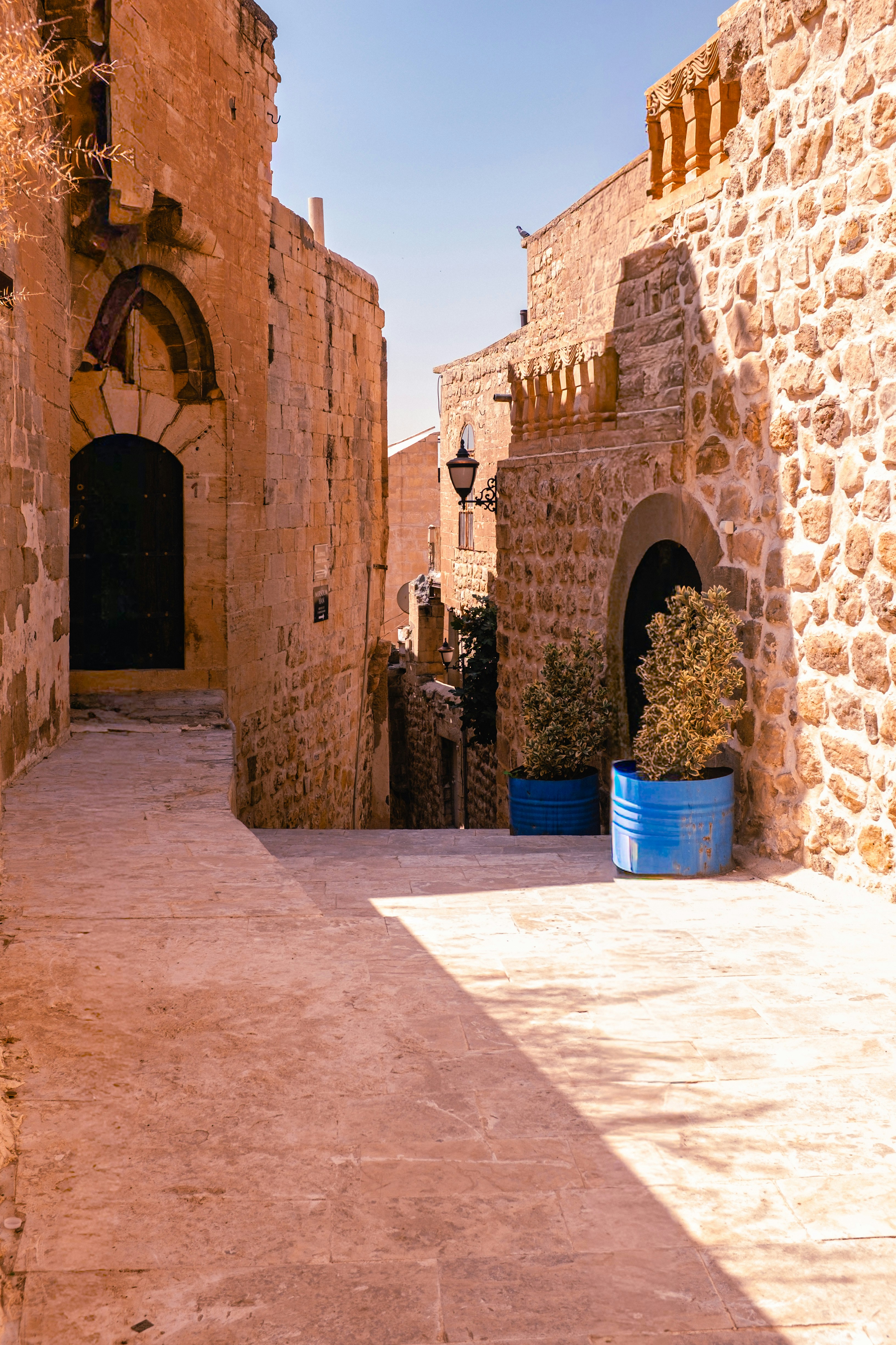 Photo by oldsoulframes