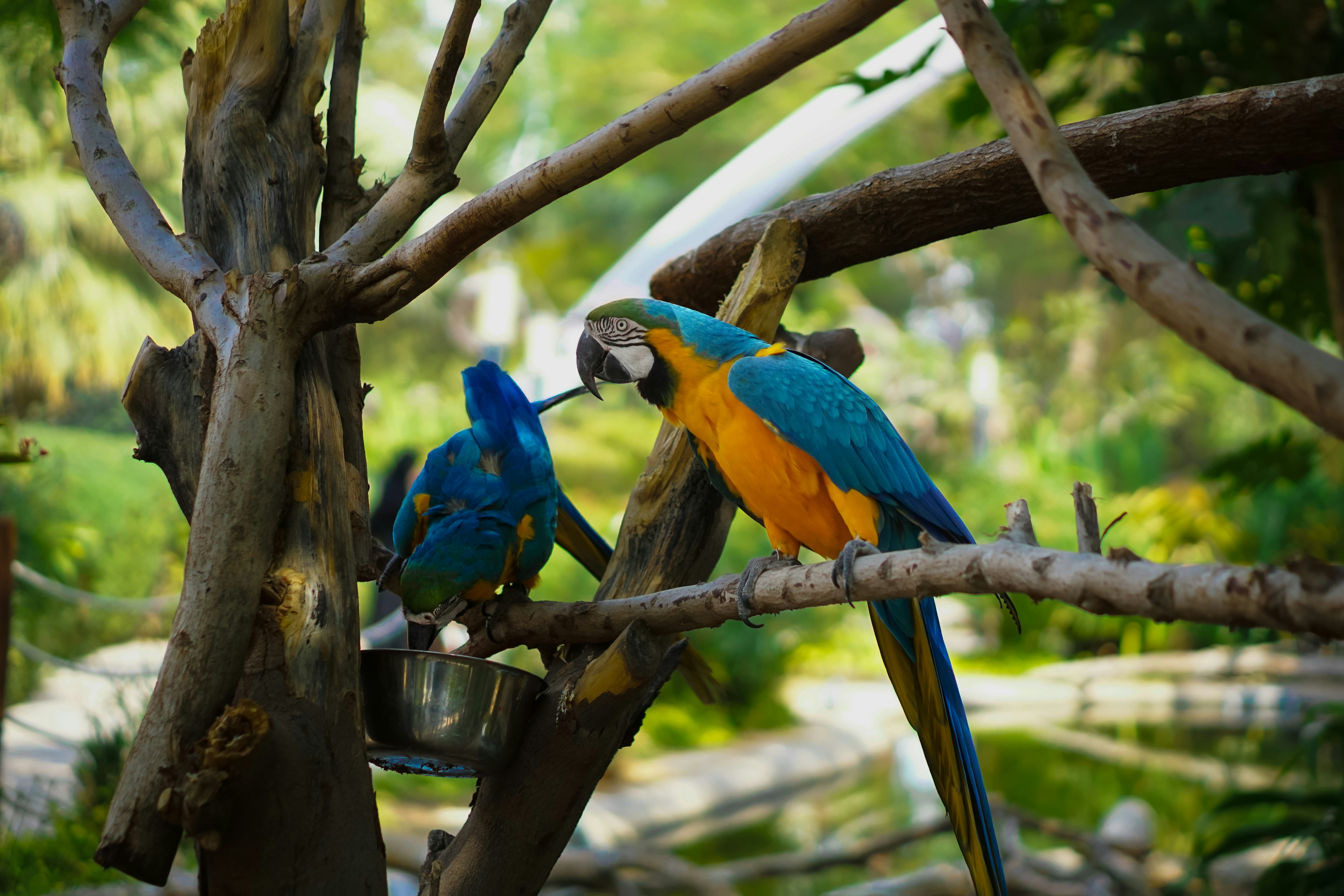 Photo by midhunsabraham