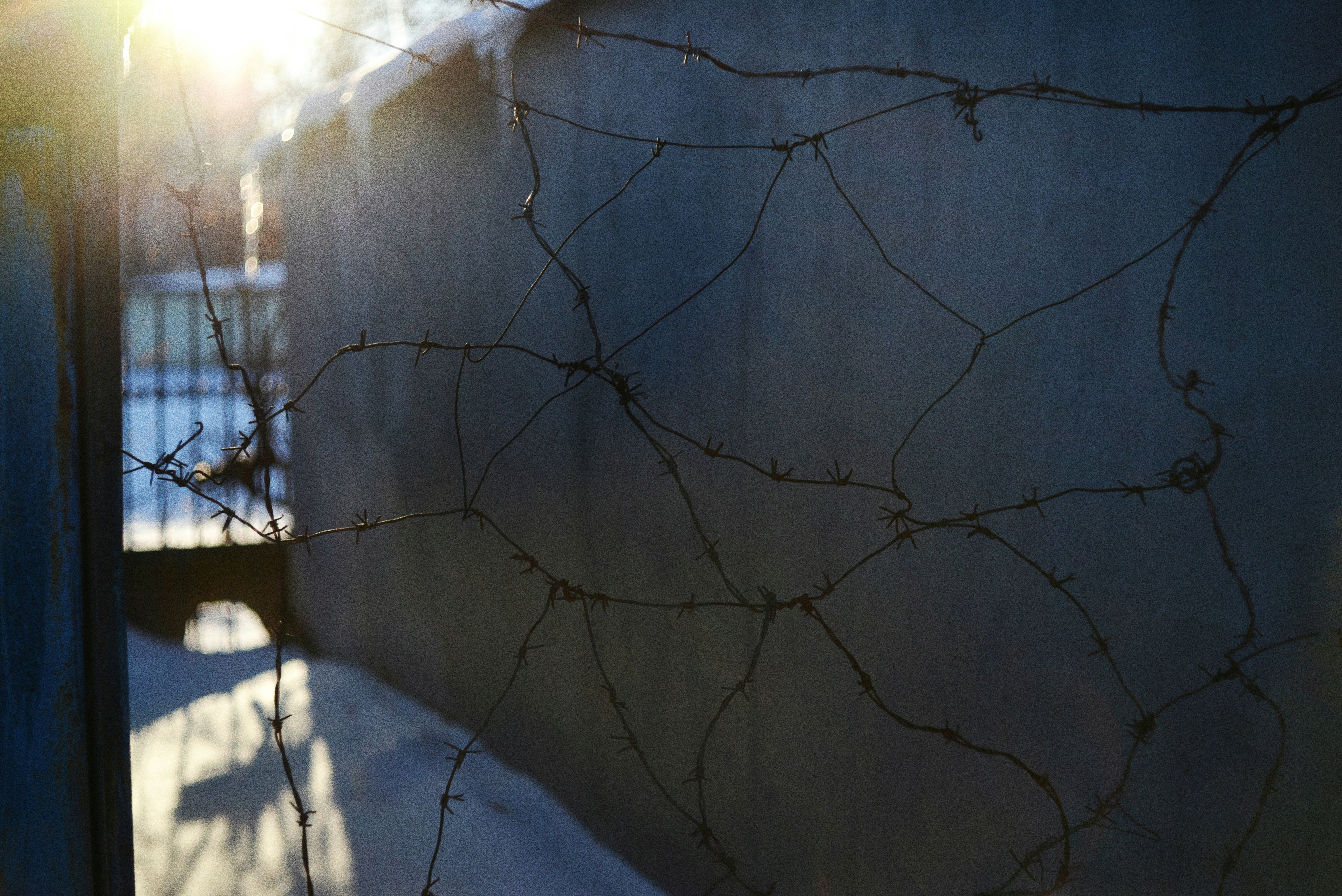 Stacheldraht an einer Betonwand mit Sonnenlicht.