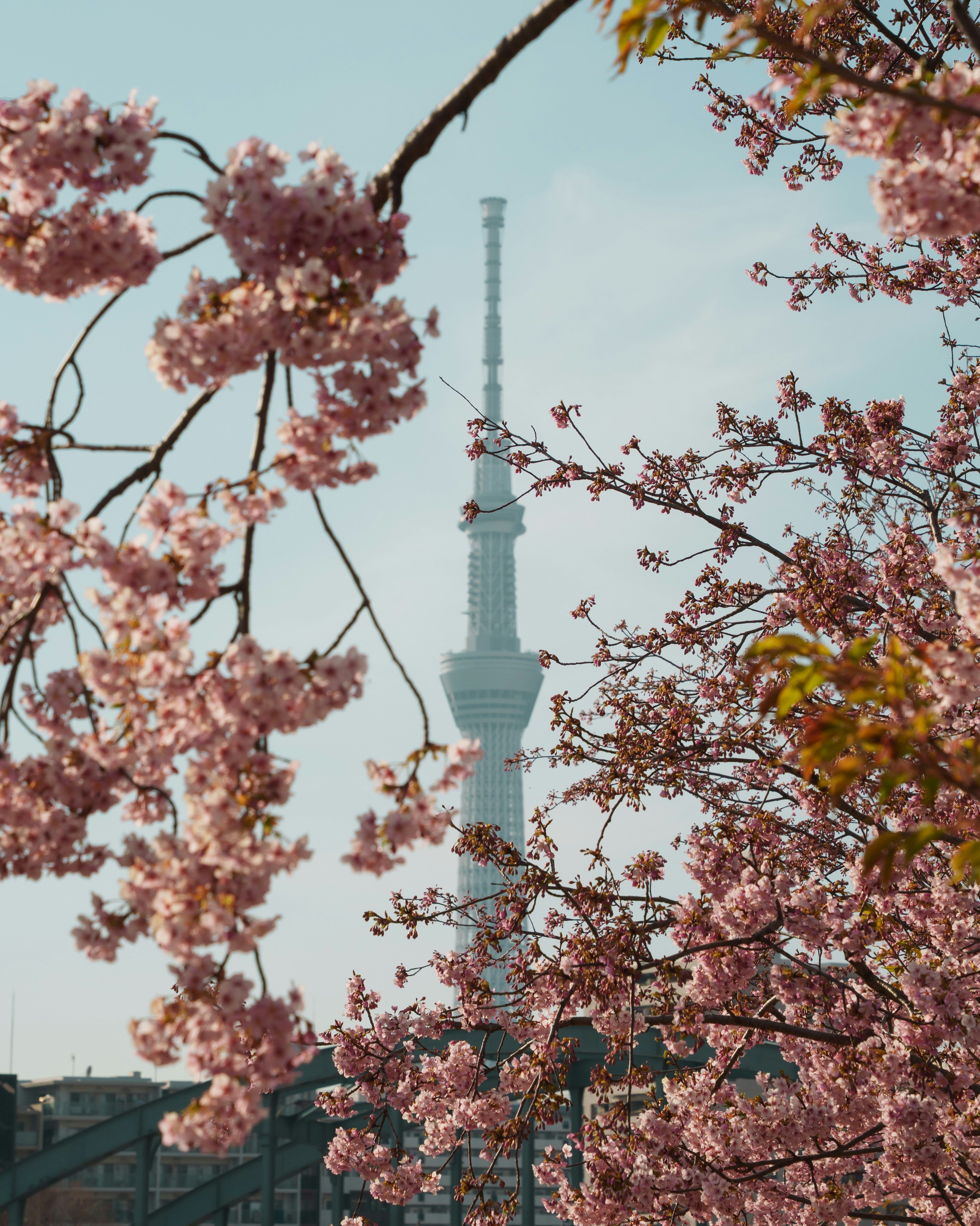 Photo by step_of_ayumi