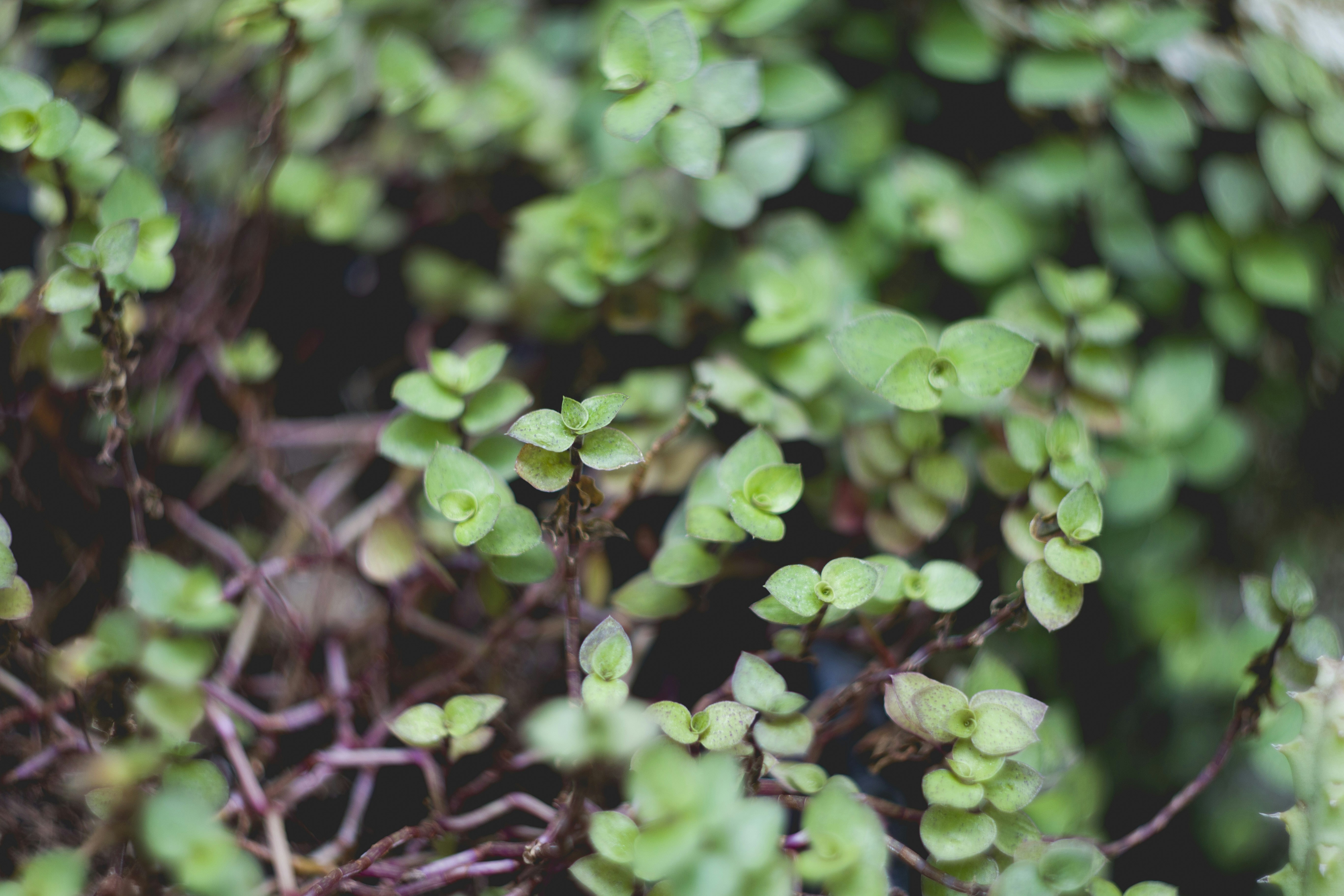 Photo by eversonvansoski