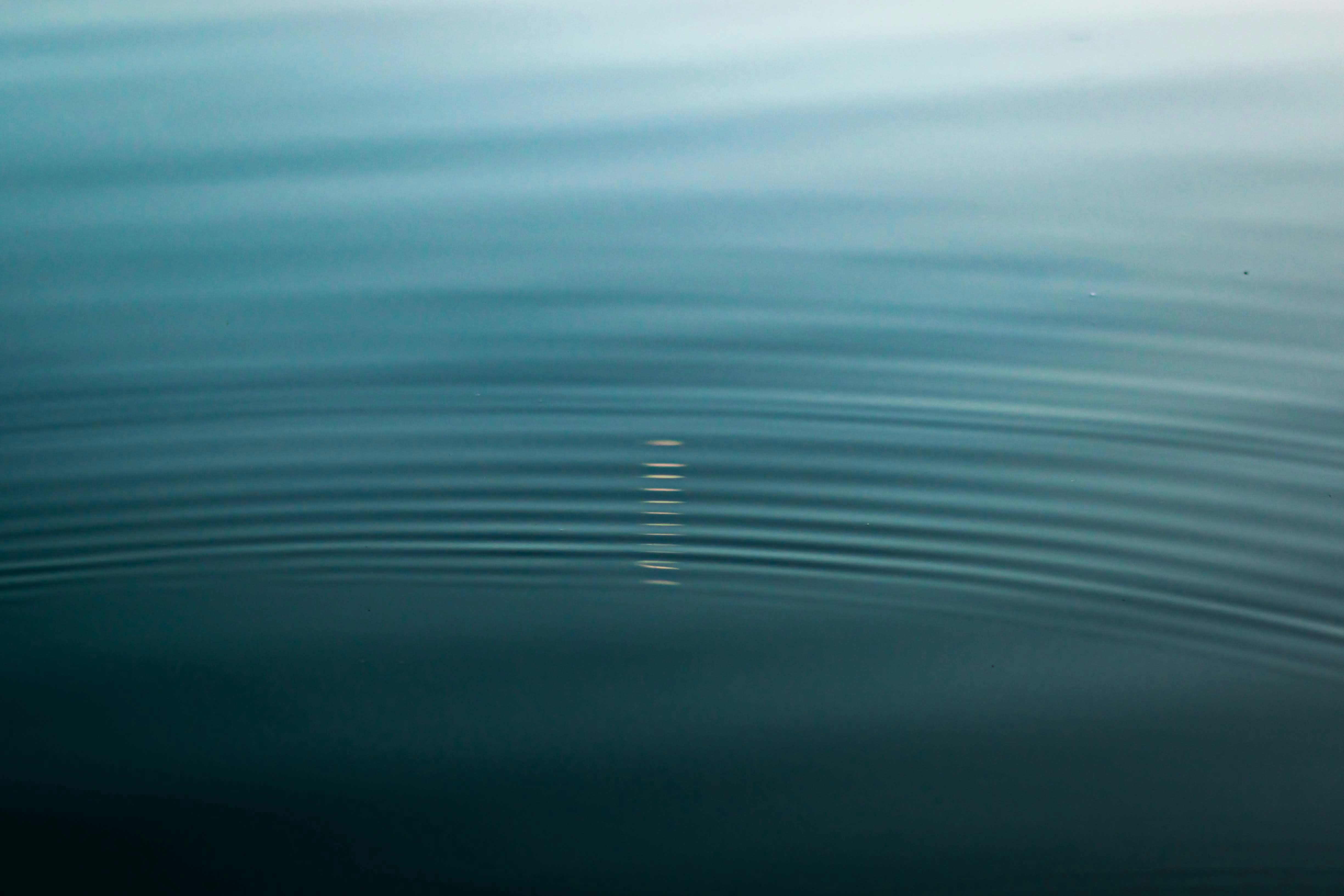 Photo by chrisjcosenza