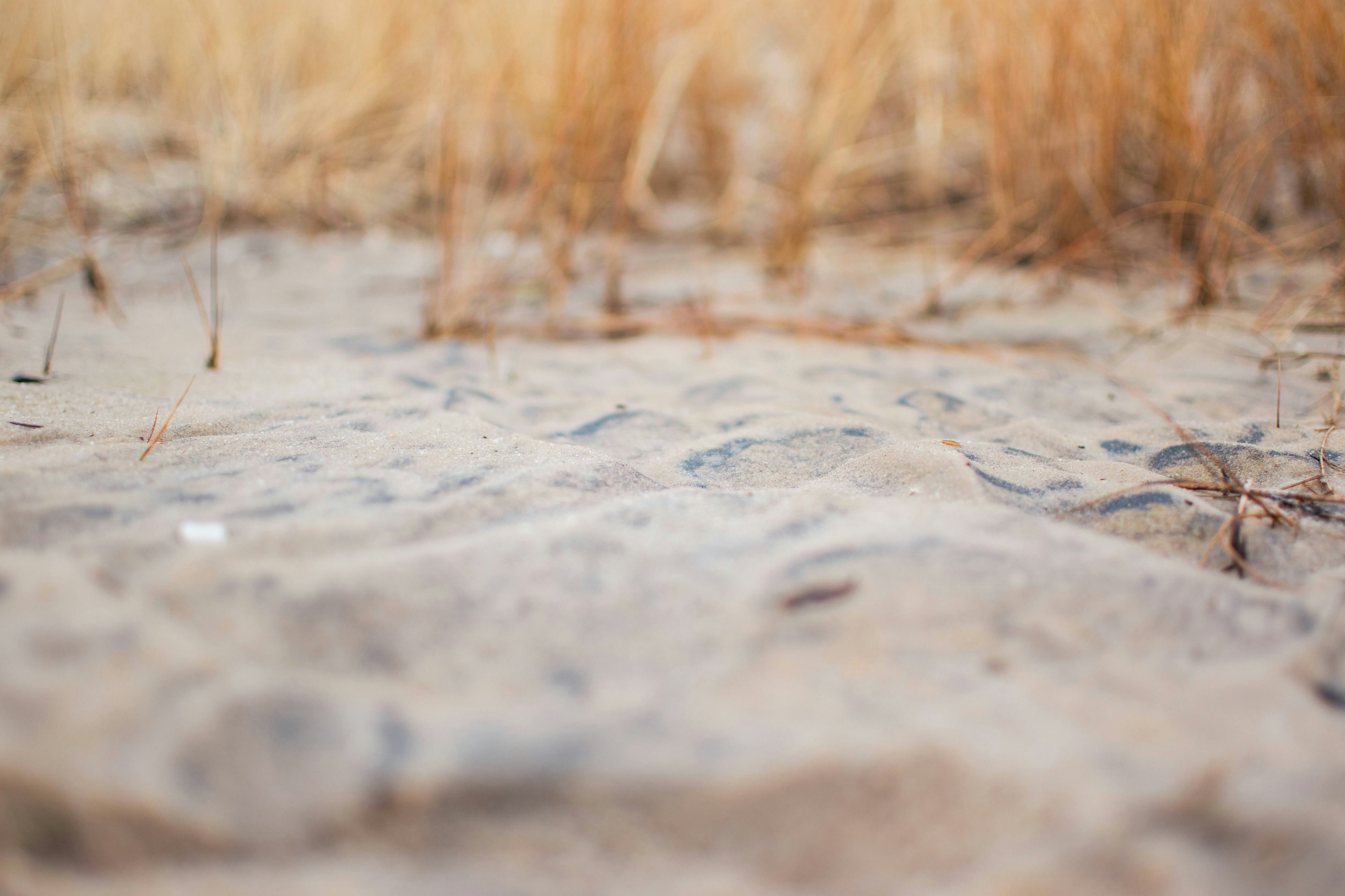 Photo by chrisjcosenza