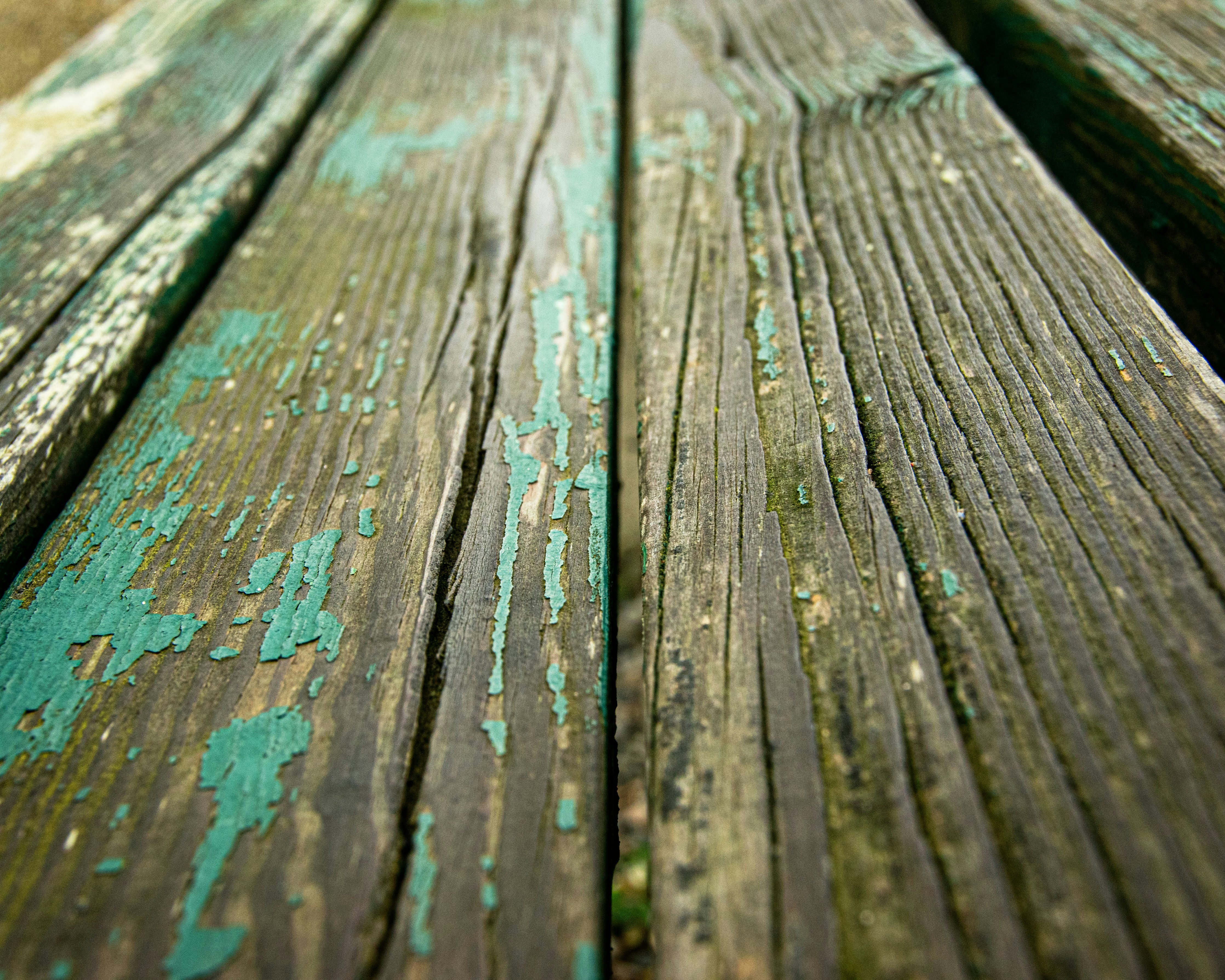 Photo by chrisjcosenza