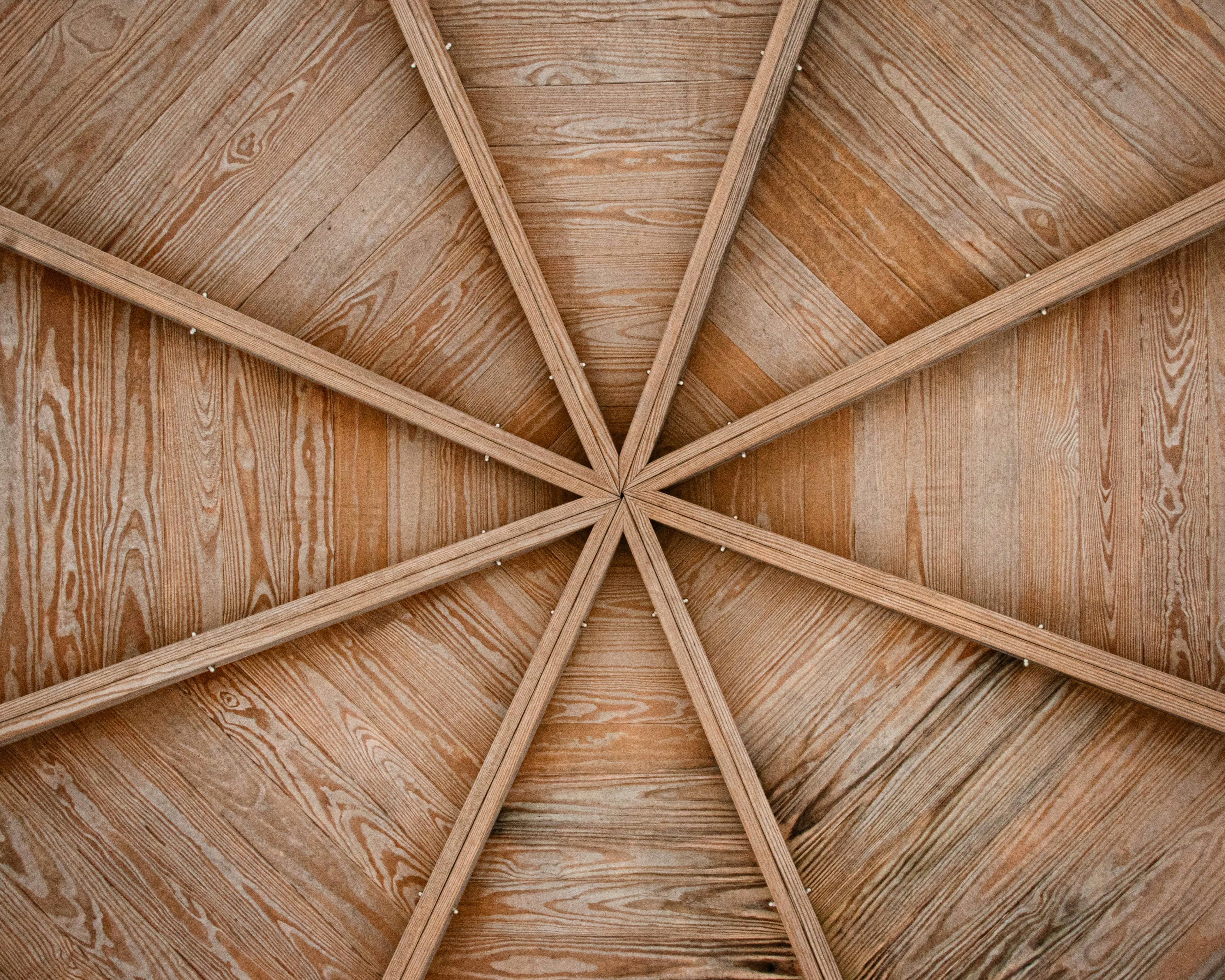 Photo by chrisjcosenza