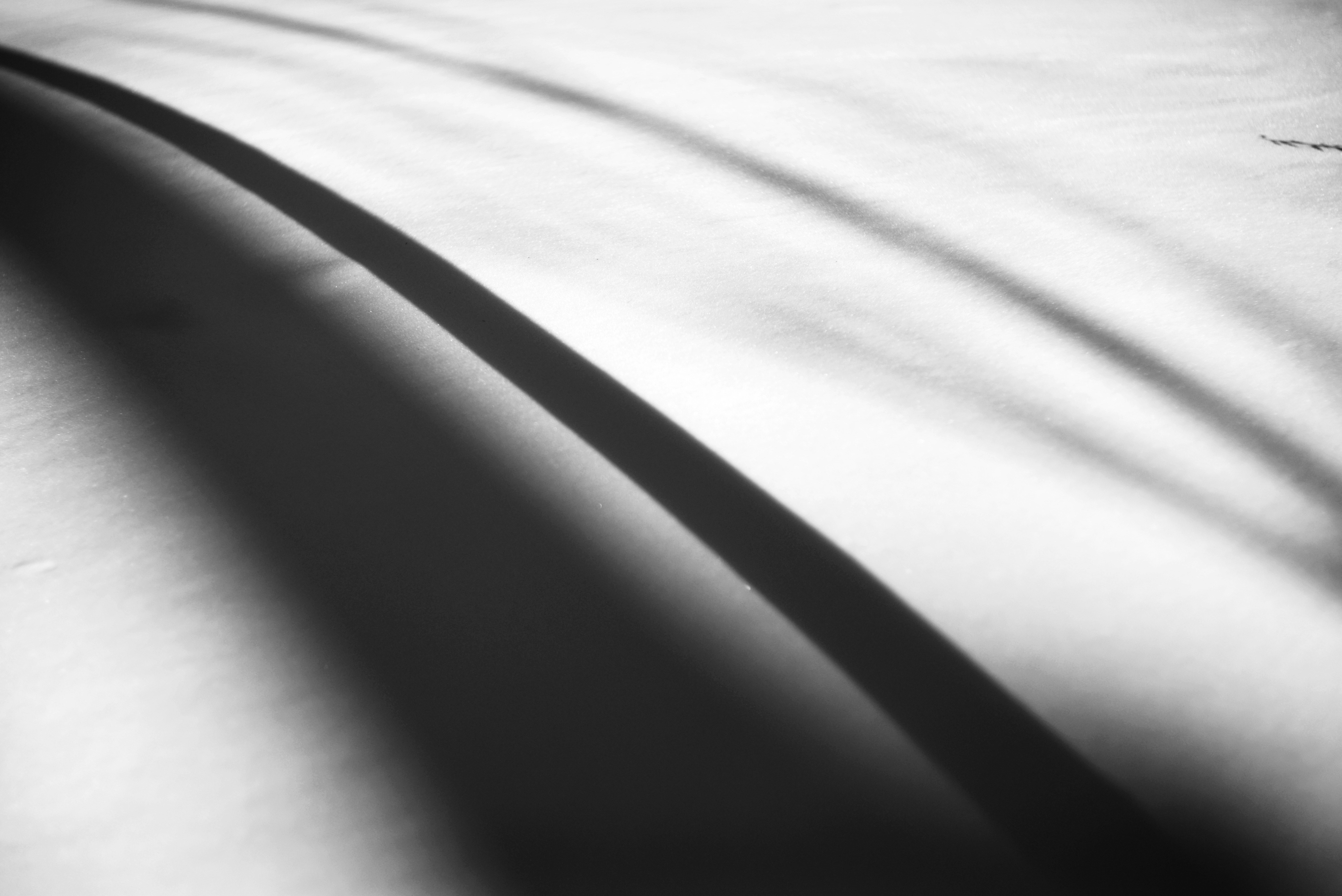 Photo by cherstve_pechivo