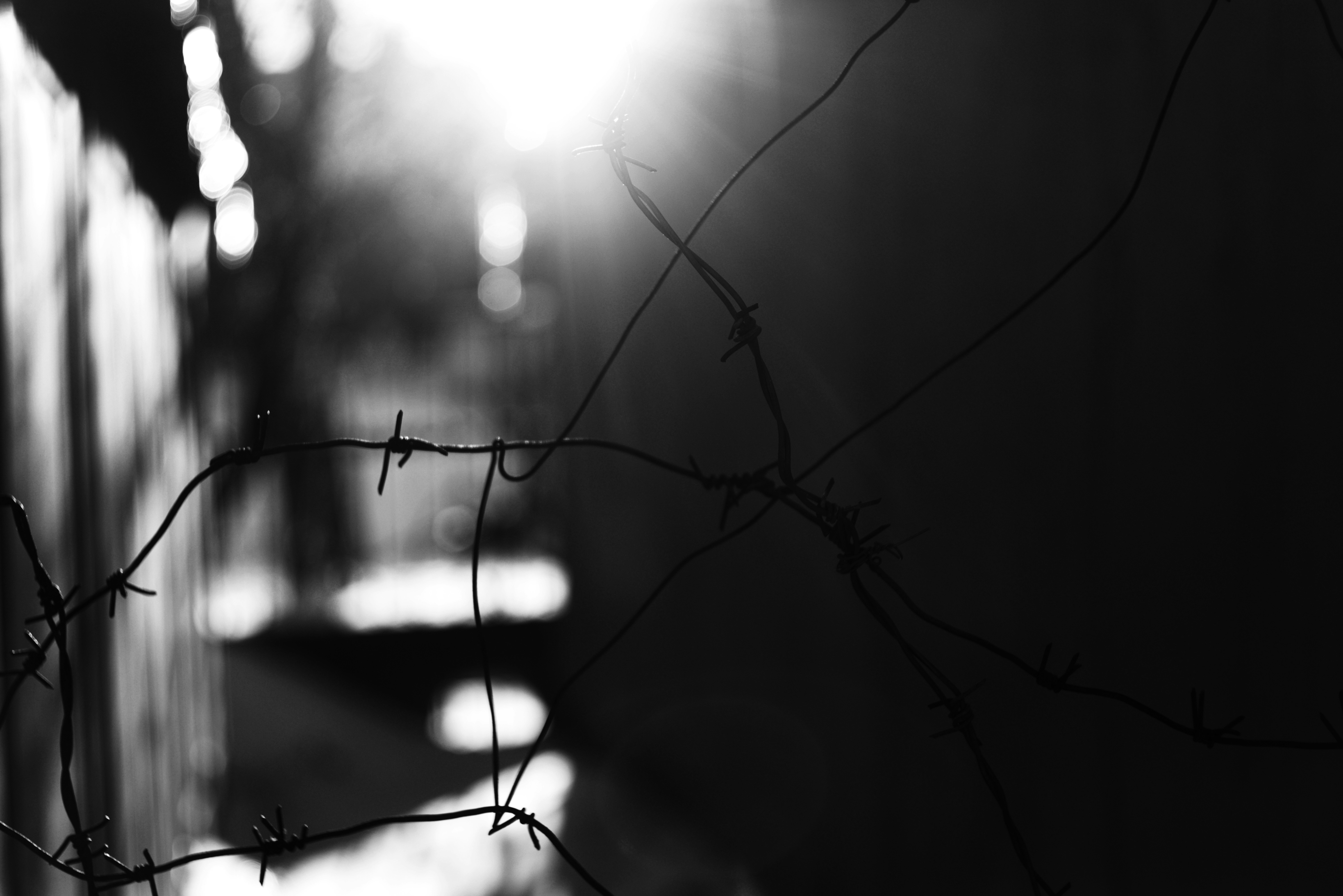 Photo by cherstve_pechivo