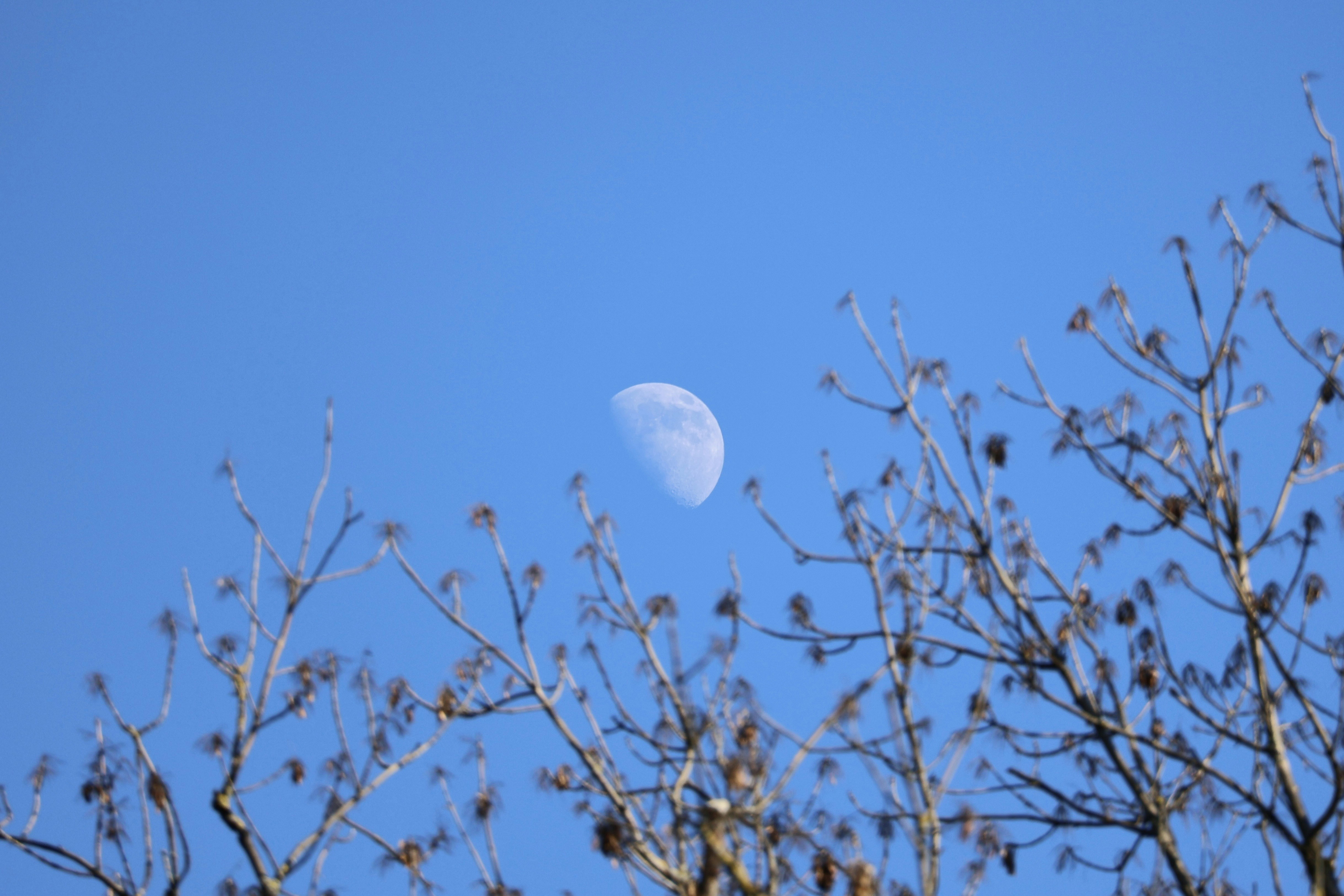 Photo by janeindahouse