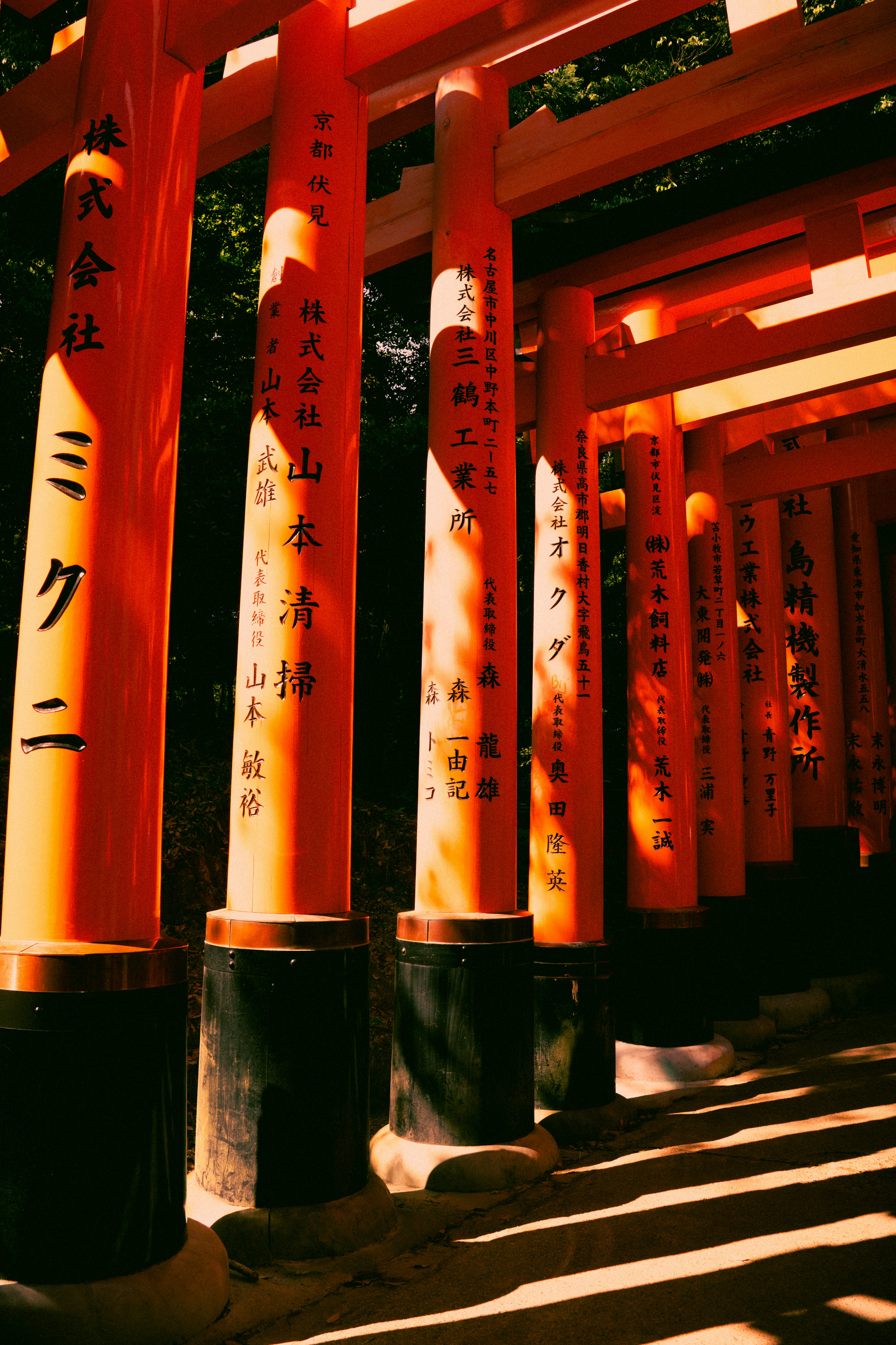 Photo by jivangarcha