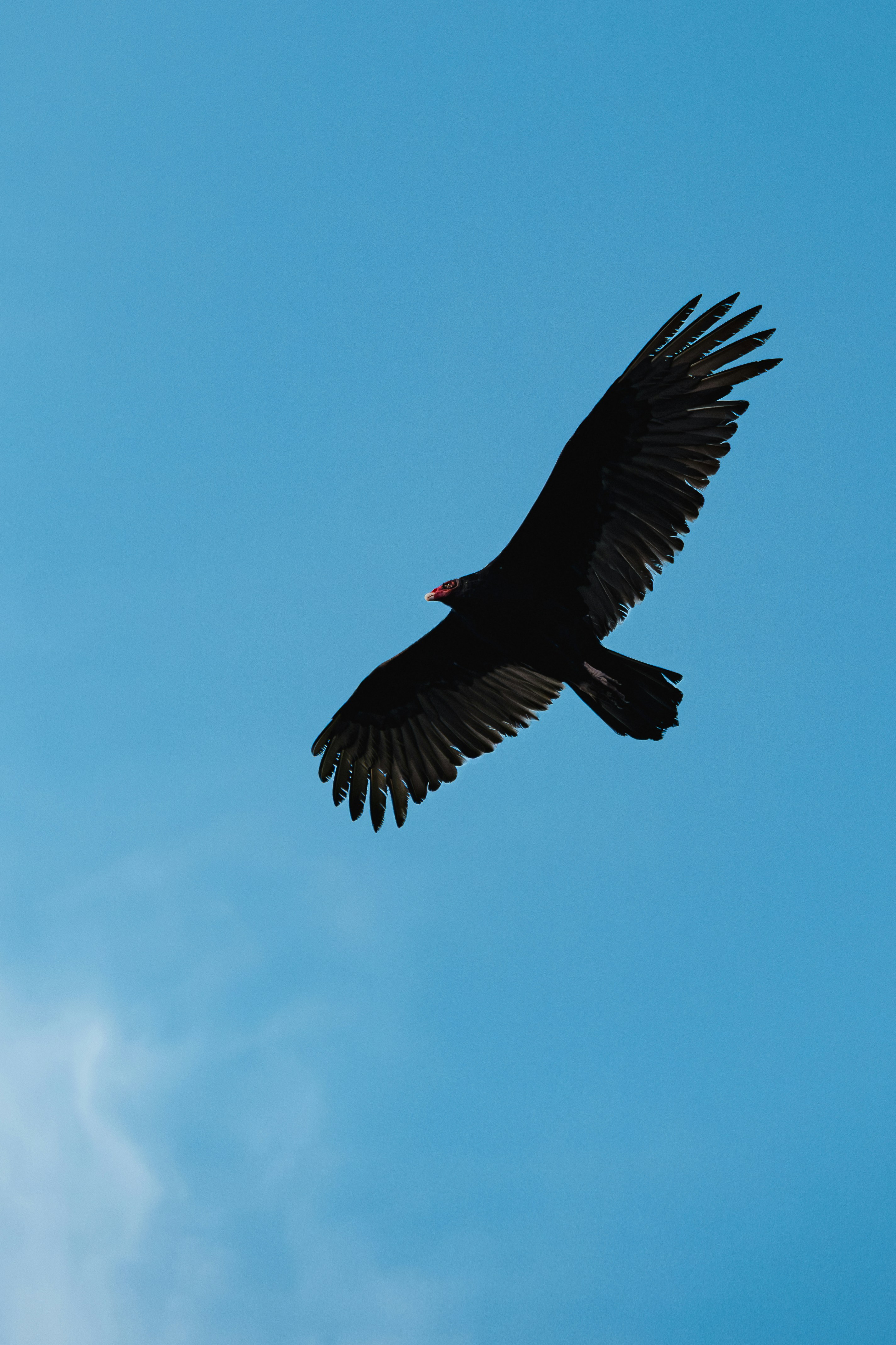 Photo by esmcreativo