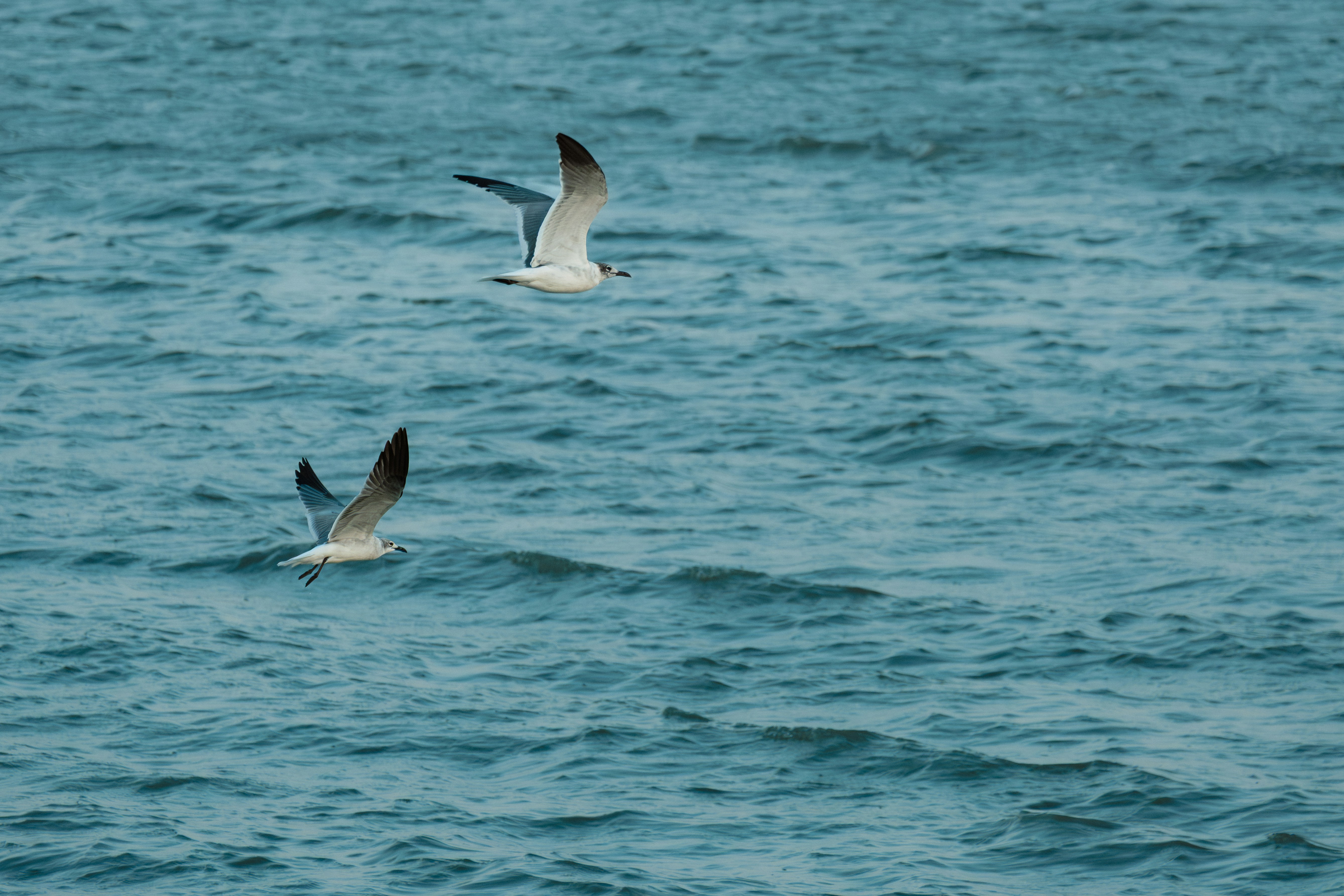 Photo by esmcreativo