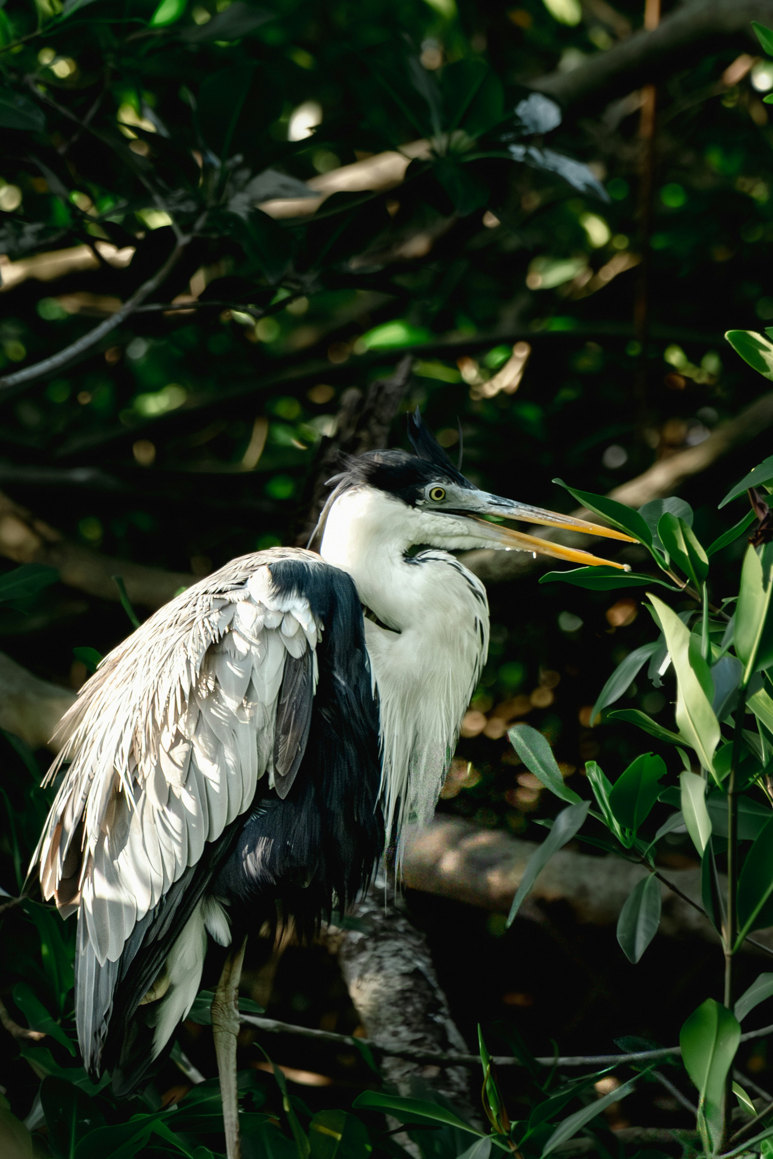 Photo by esmcreativo