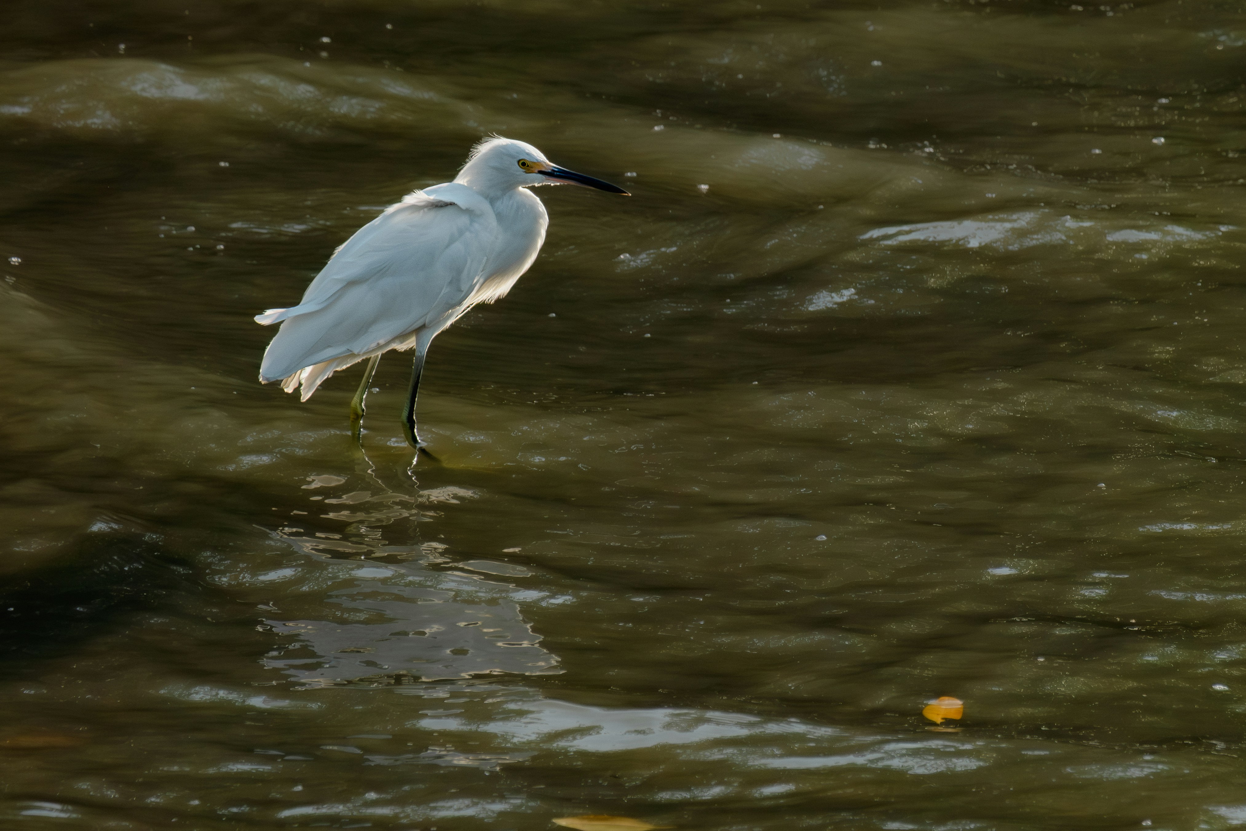 Photo by esmcreativo