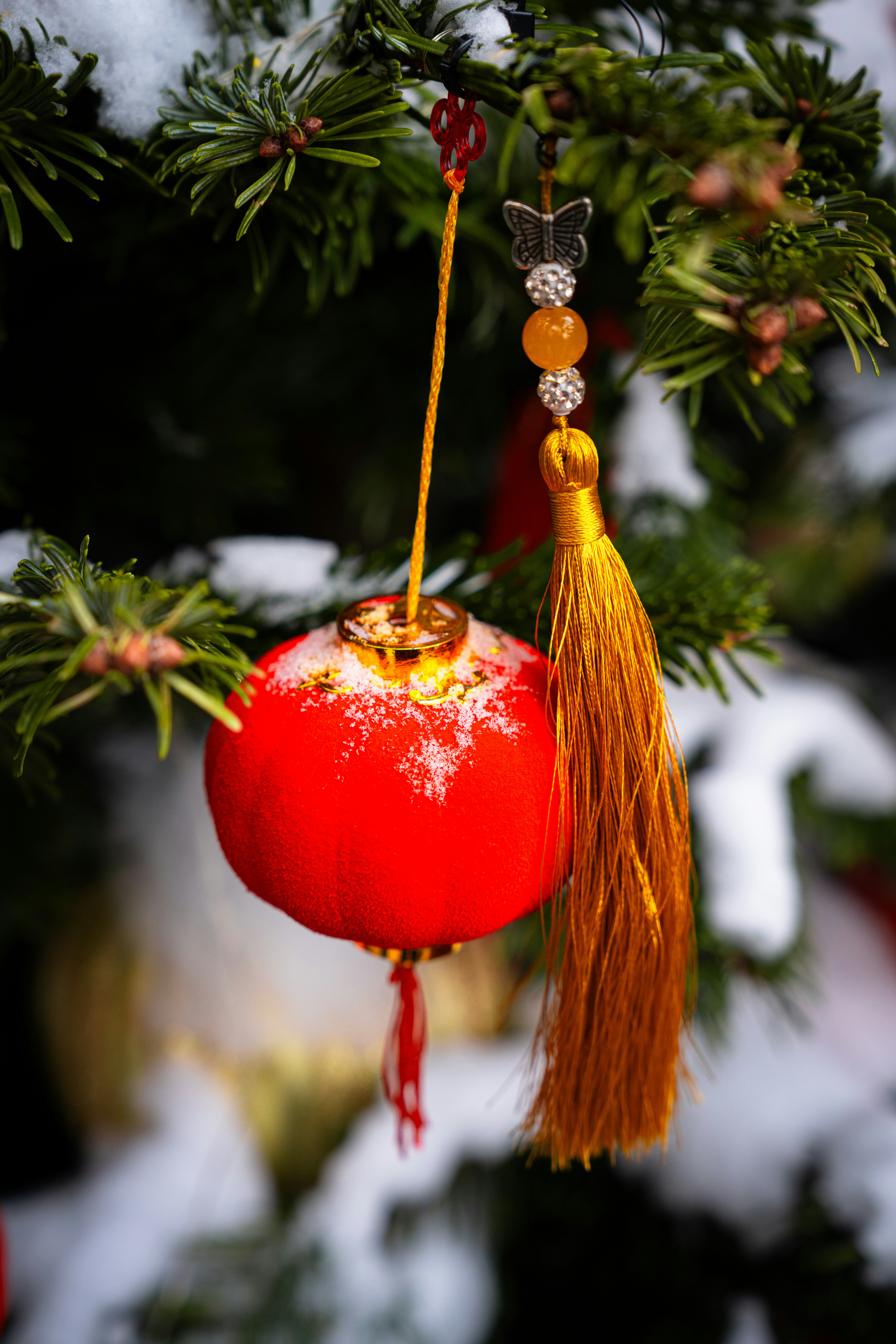 Red lantern ornament with yellow tassel on snowy tree branch