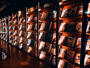 Bookshelves filled with books in a library