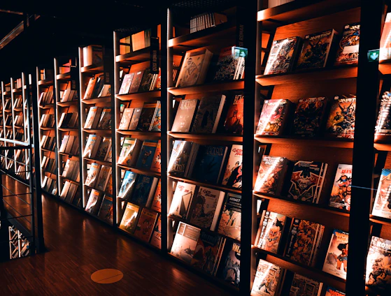Bookshelves filled with books in a library