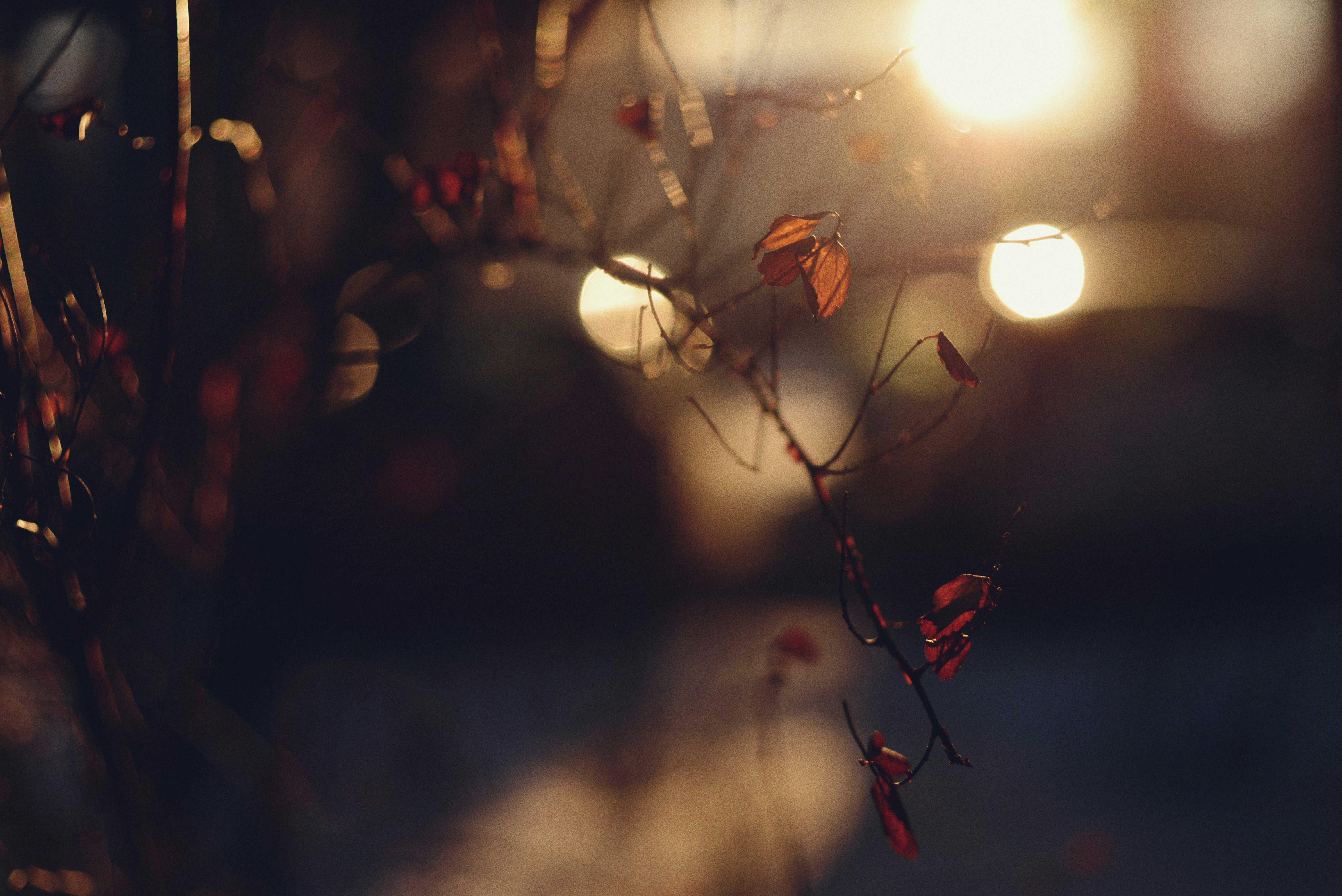 Photo by cherstve_pechivo