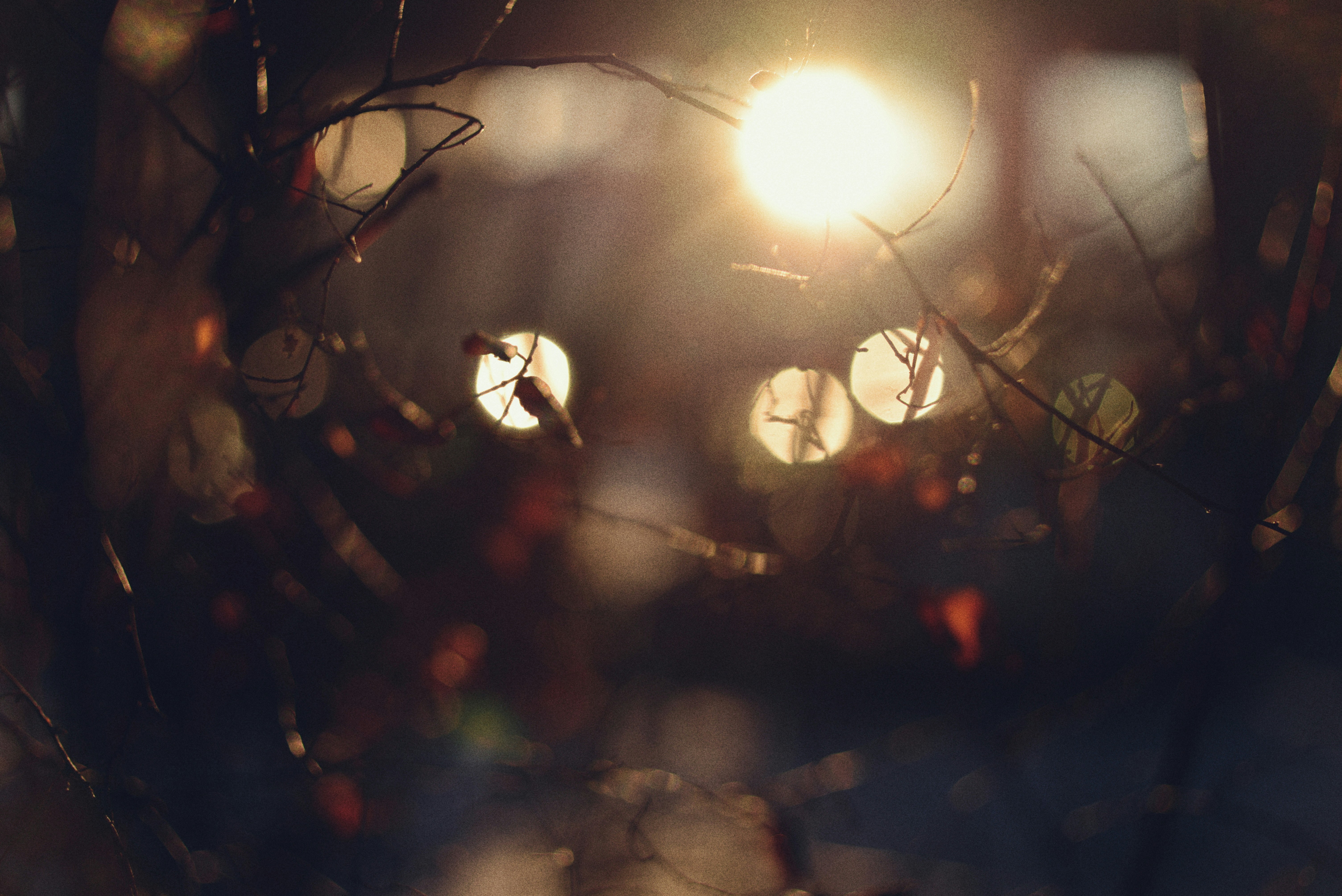 Photo by cherstve_pechivo