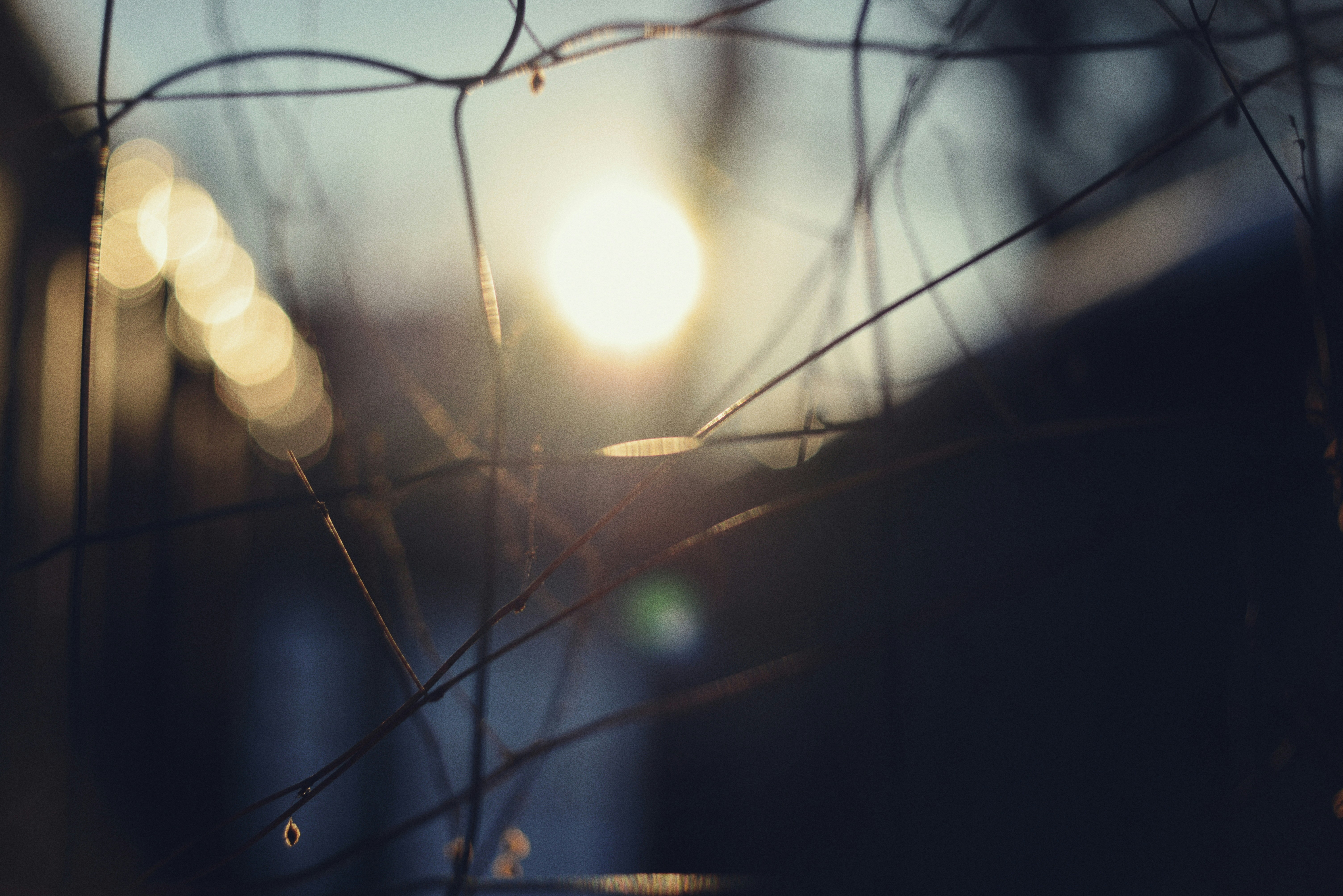 Photo by cherstve_pechivo