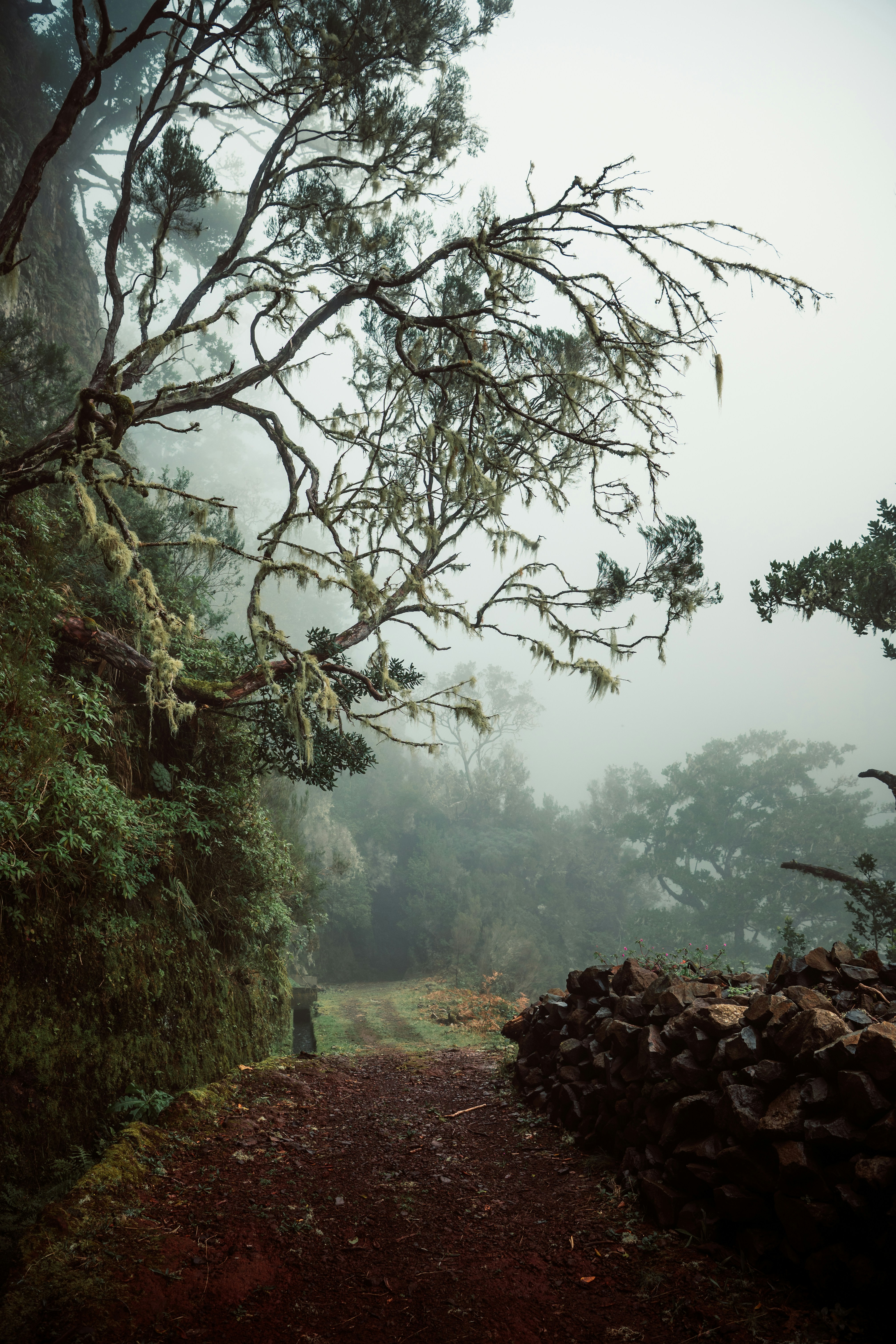 Photo by benjamin_artwok