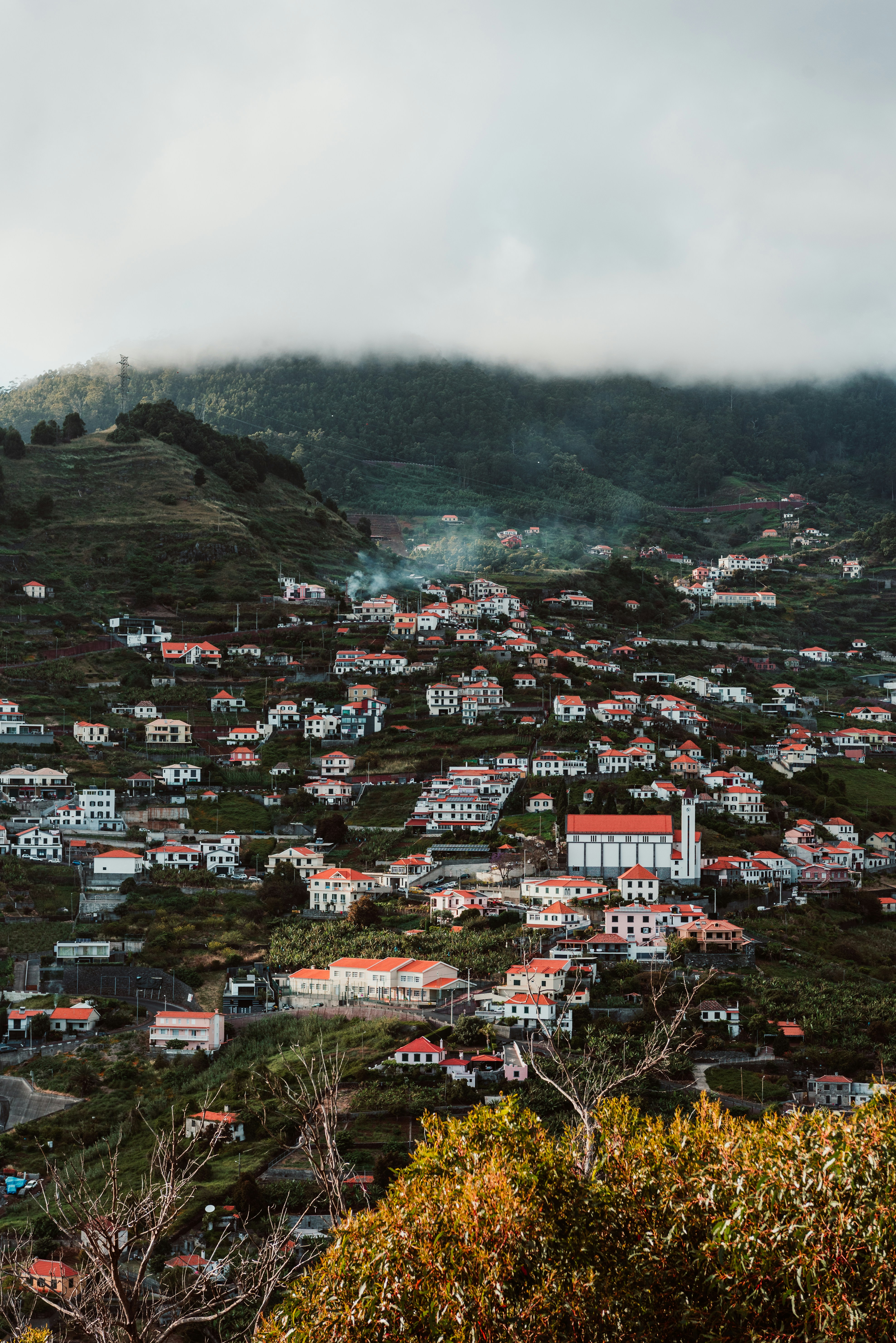 Photo by benjamin_artwok