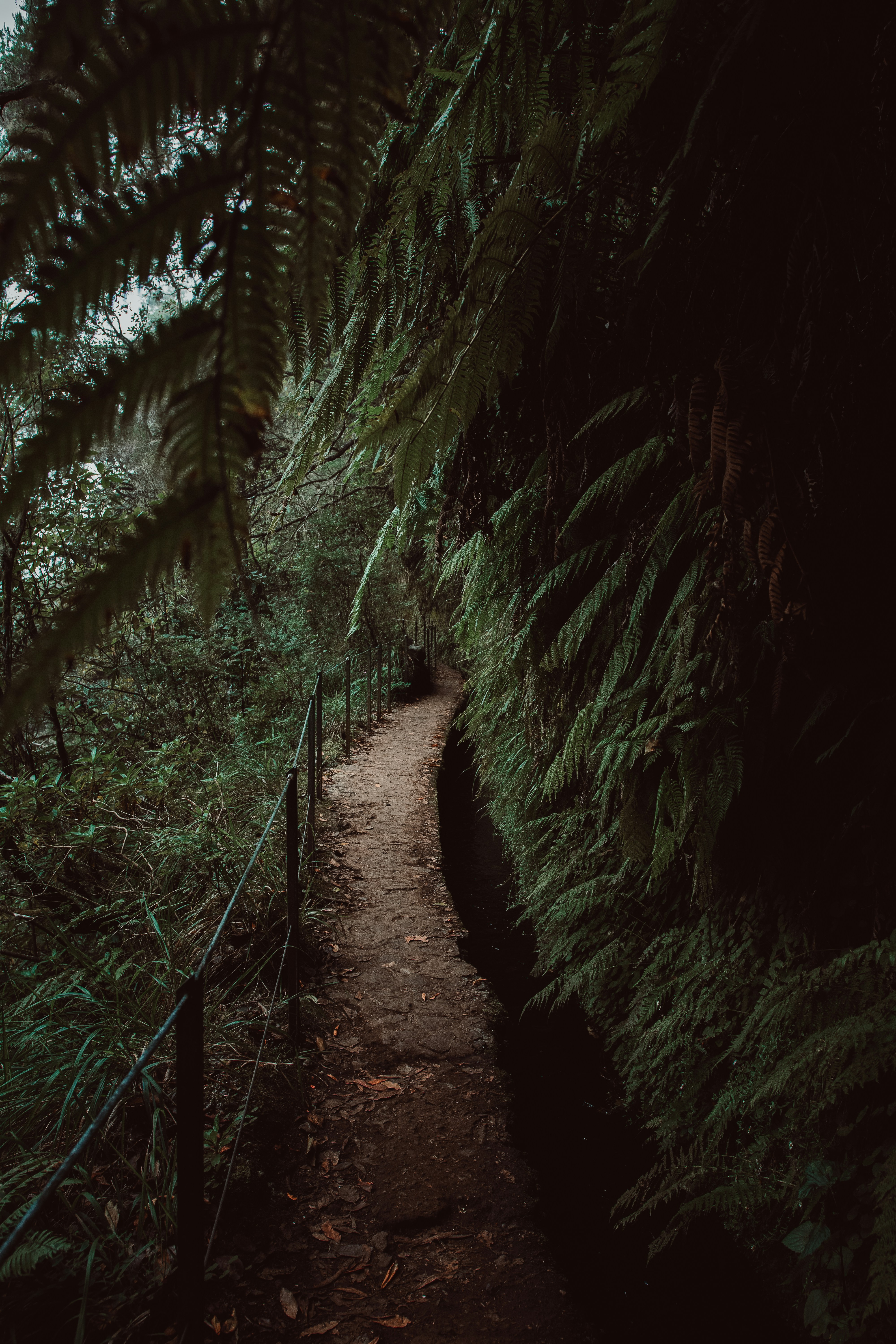 Photo by benjamin_artwok